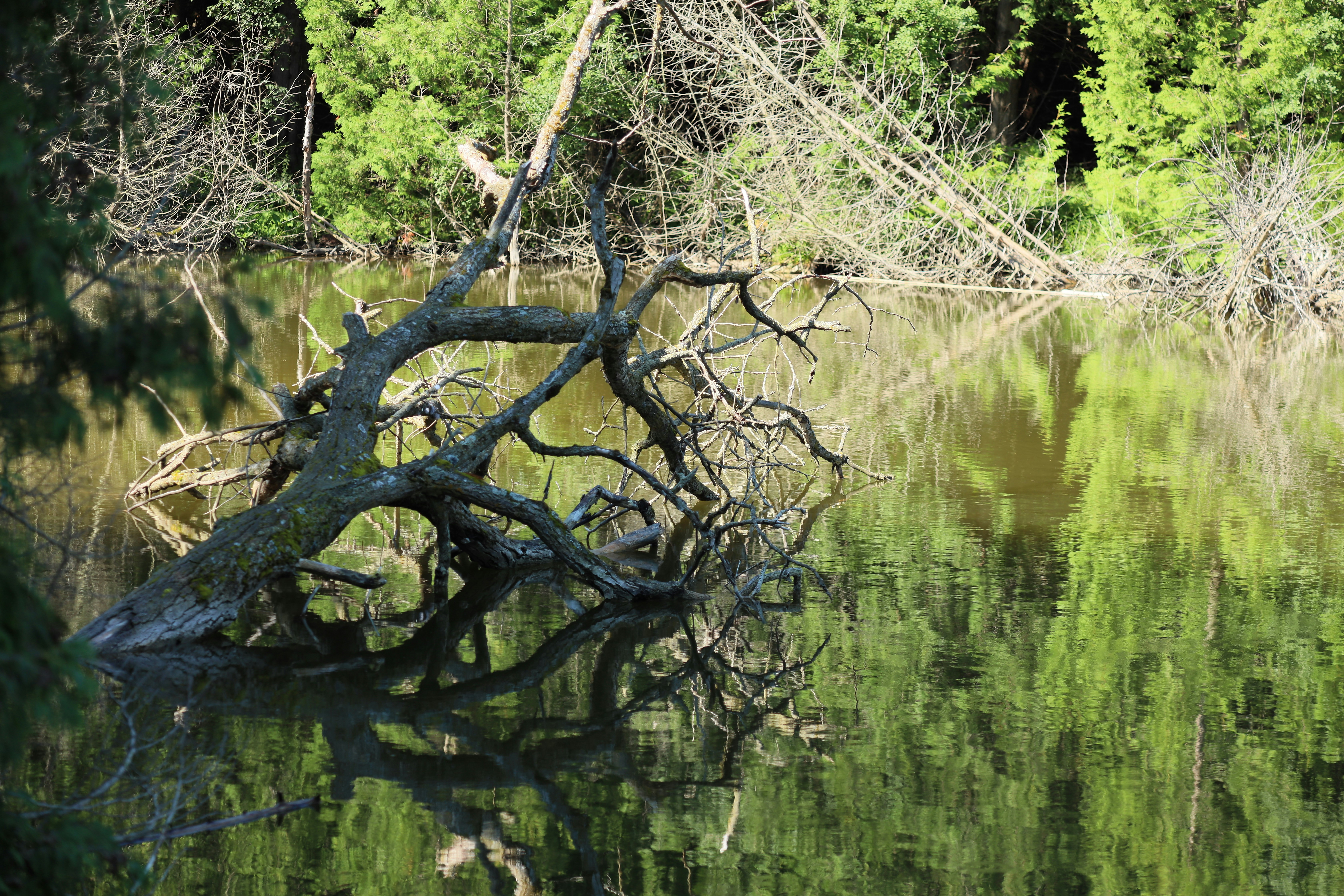 Photo by richardworks