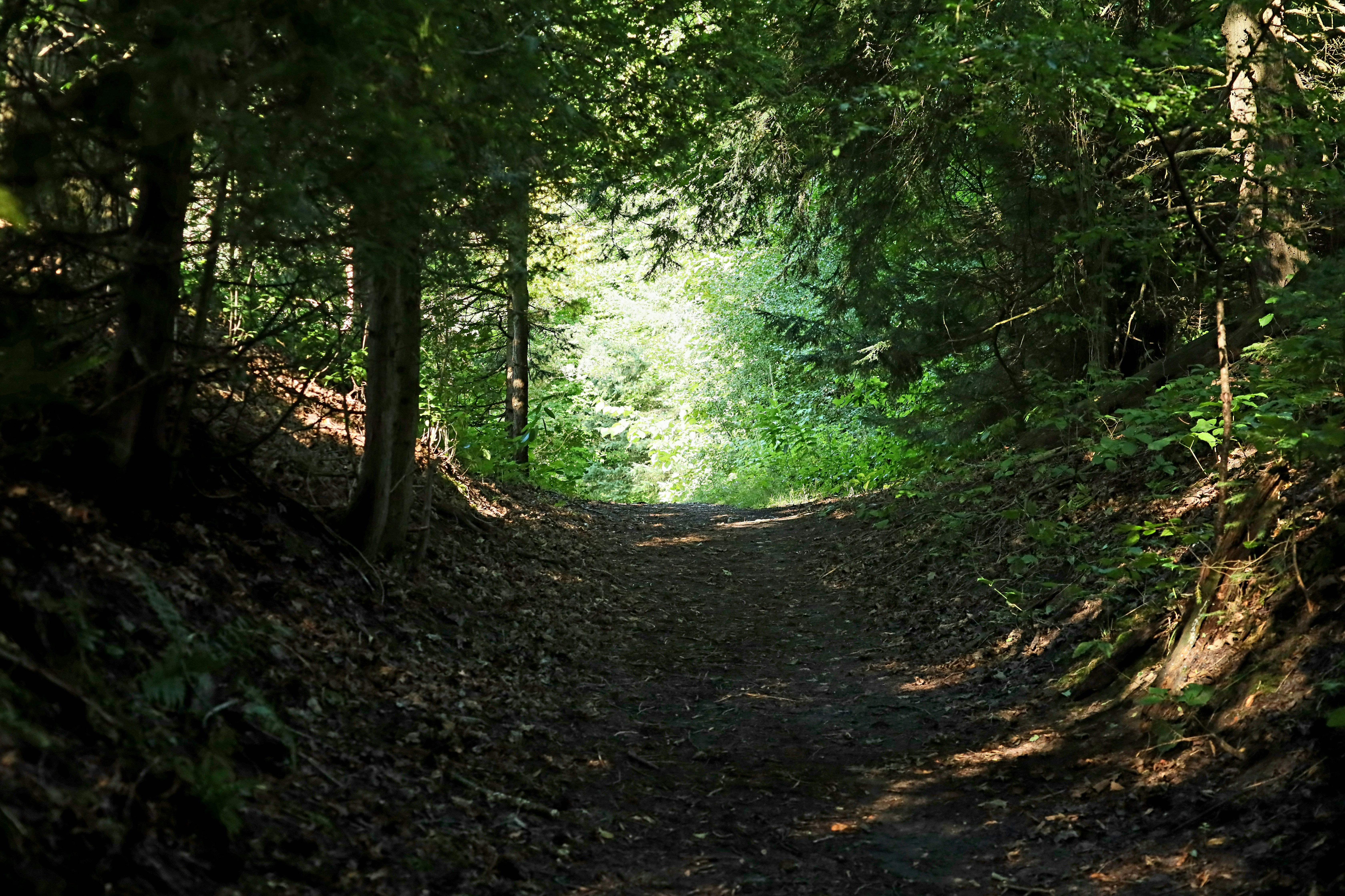 Photo by richardworks