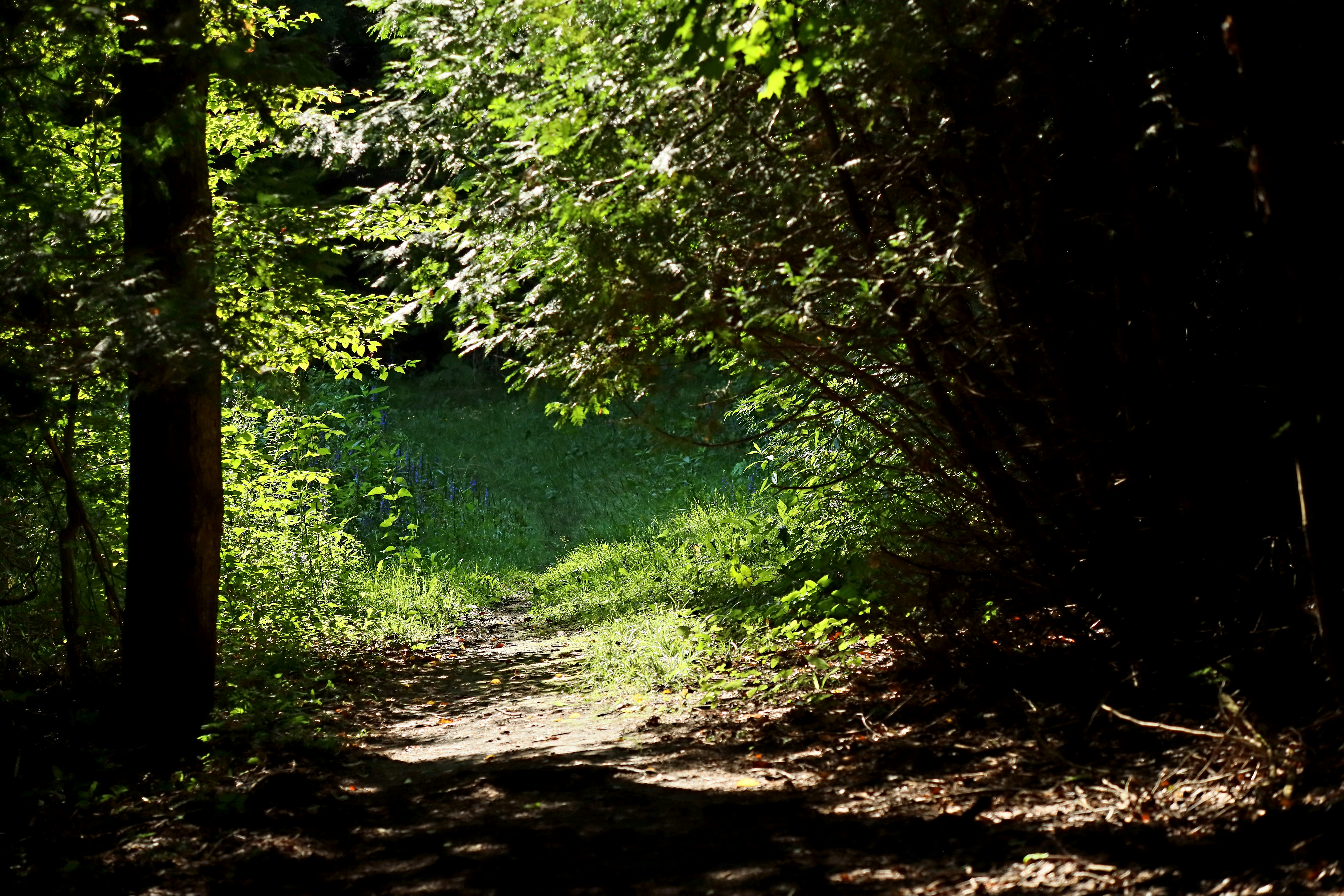 Photo by richardworks