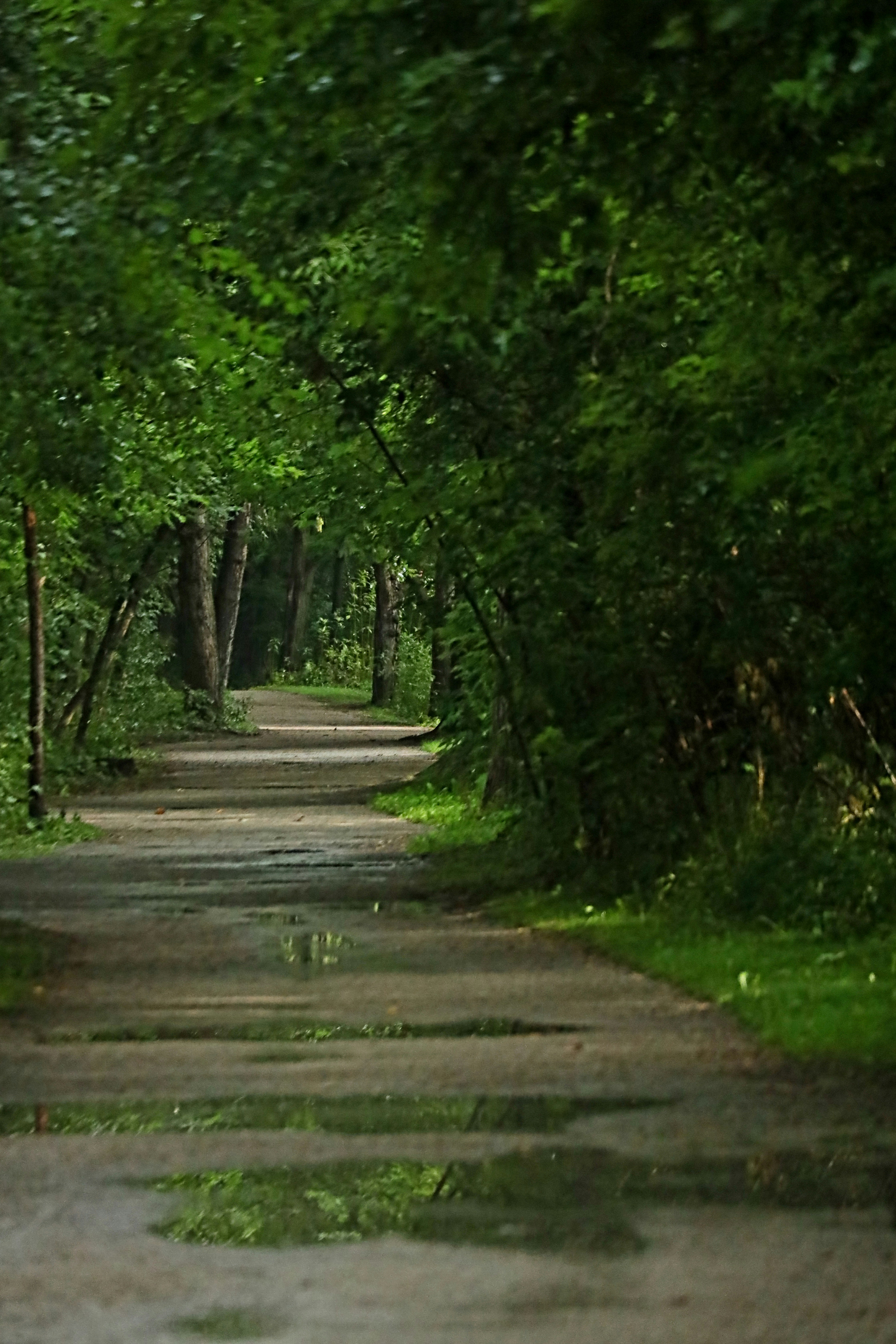 Photo by richardworks