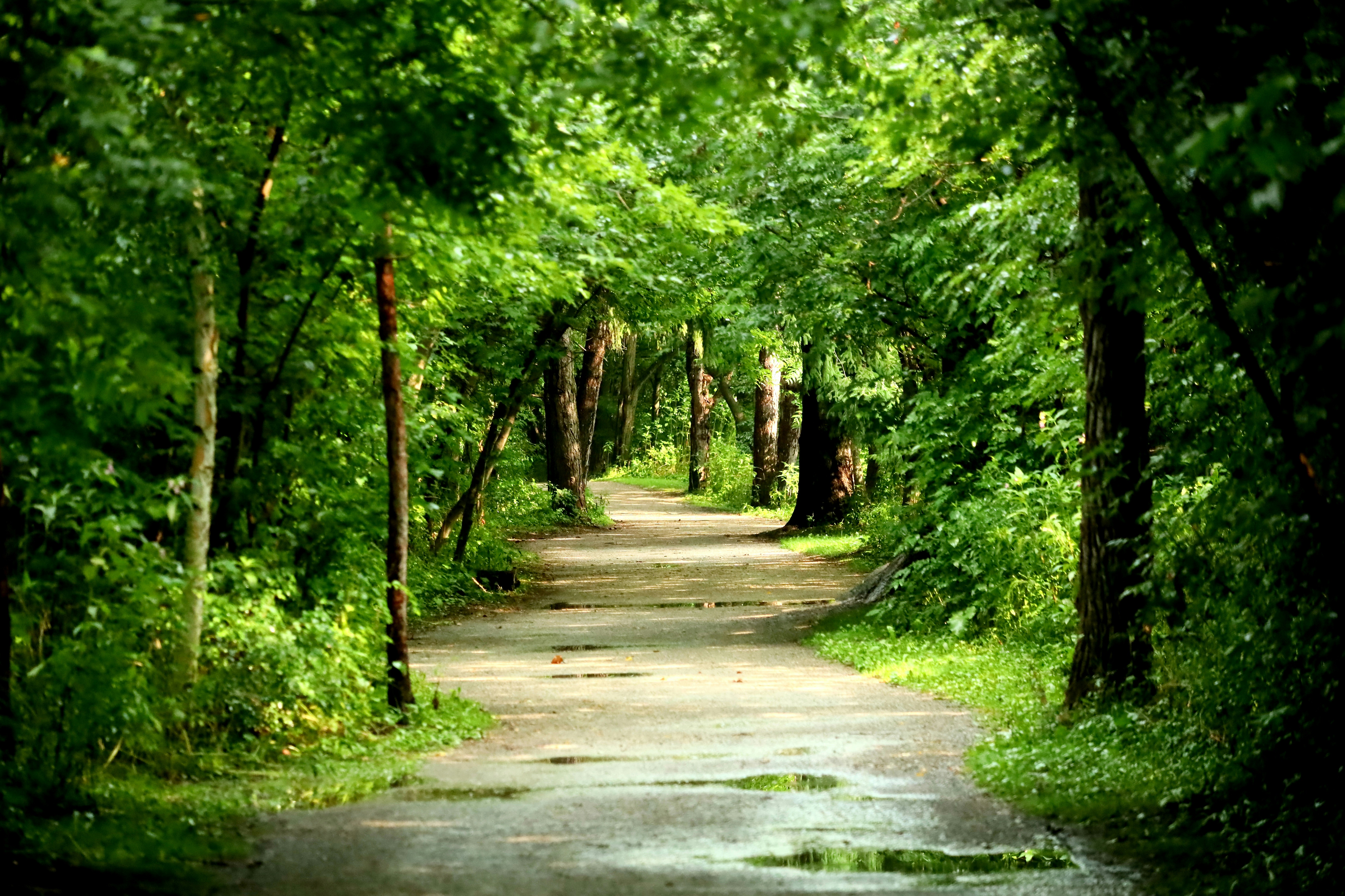 Photo by richardworks