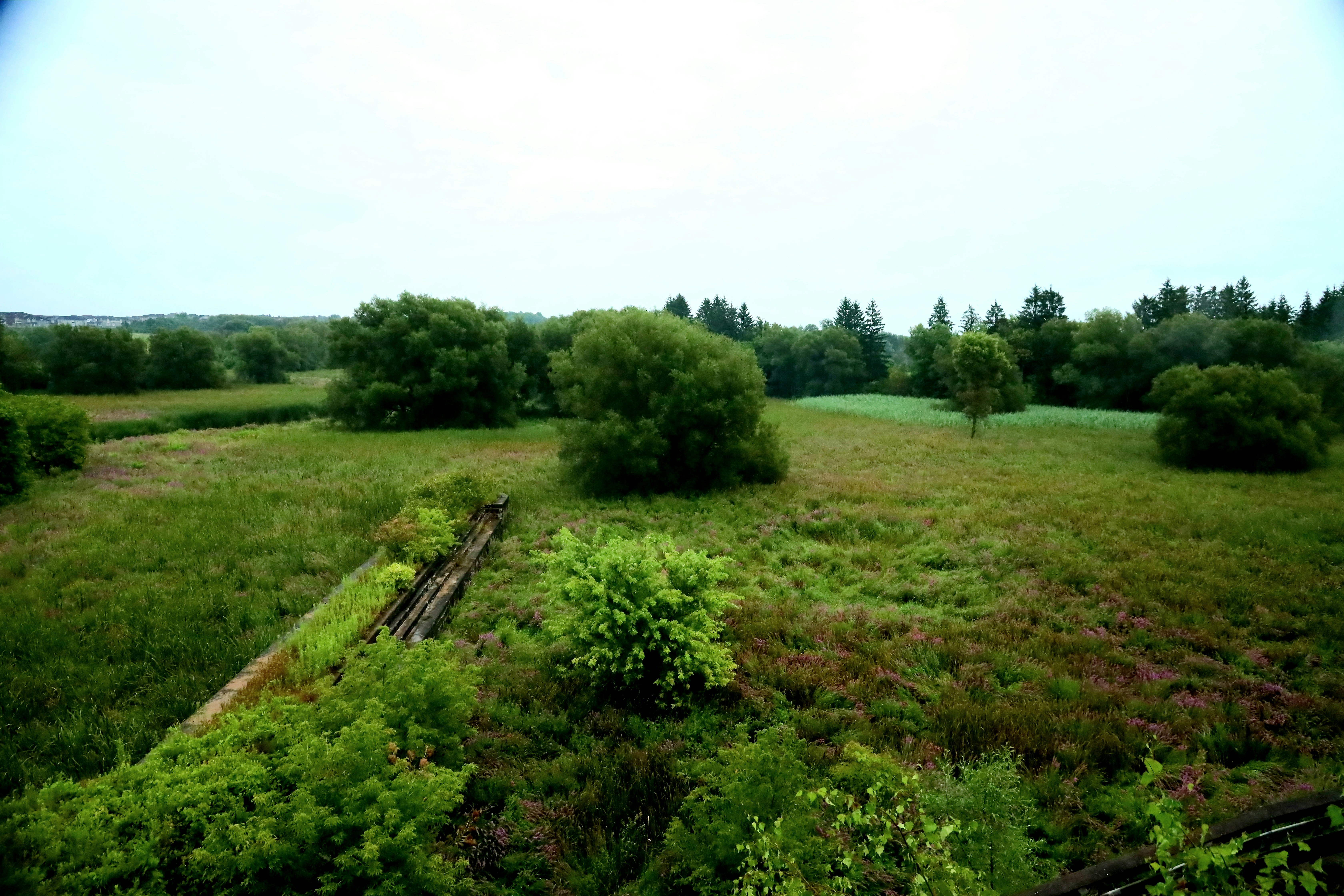 Photo by richardworks