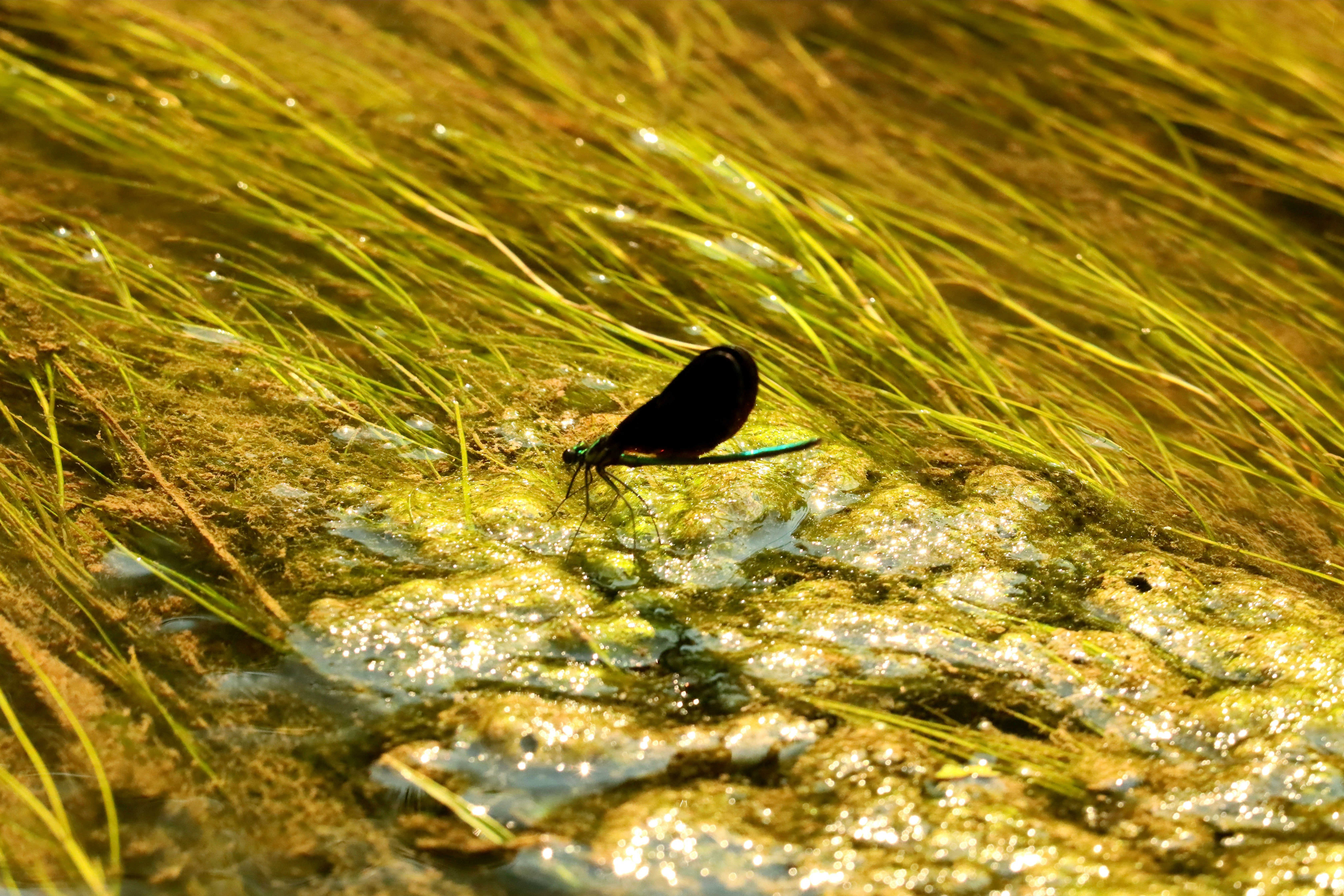 Photo by richardworks