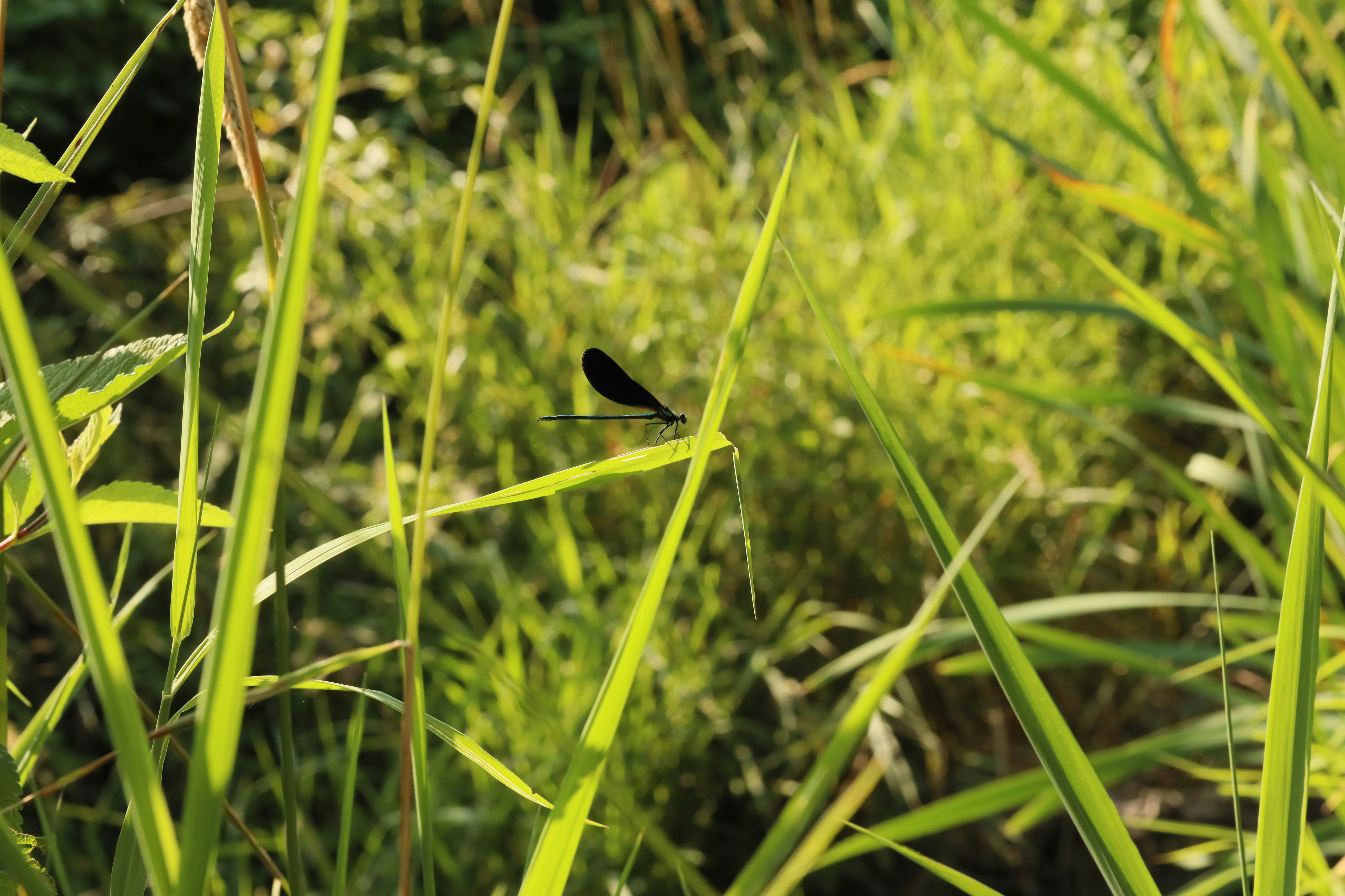 Photo by richardworks