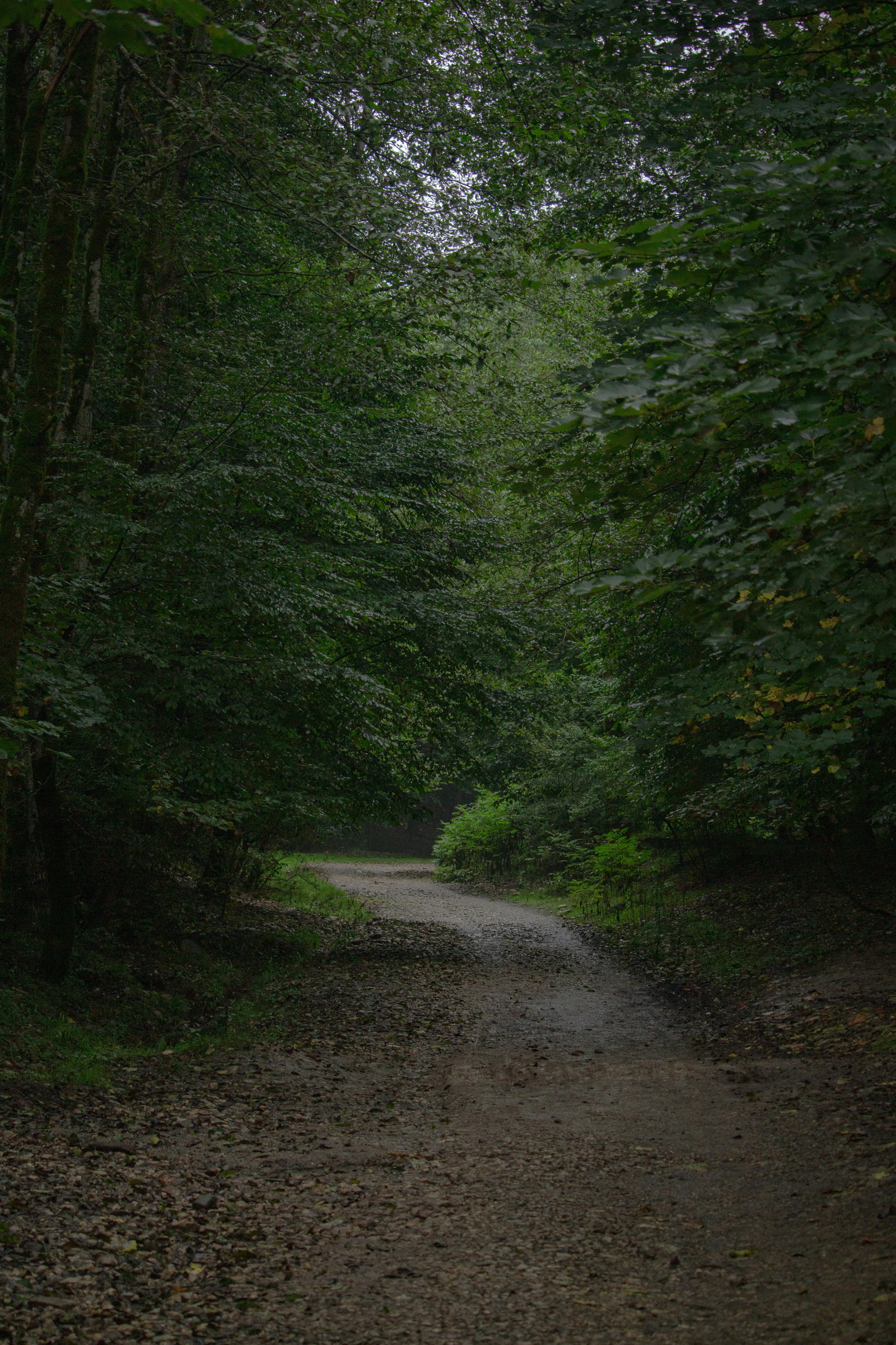 Photo by farid_karimi