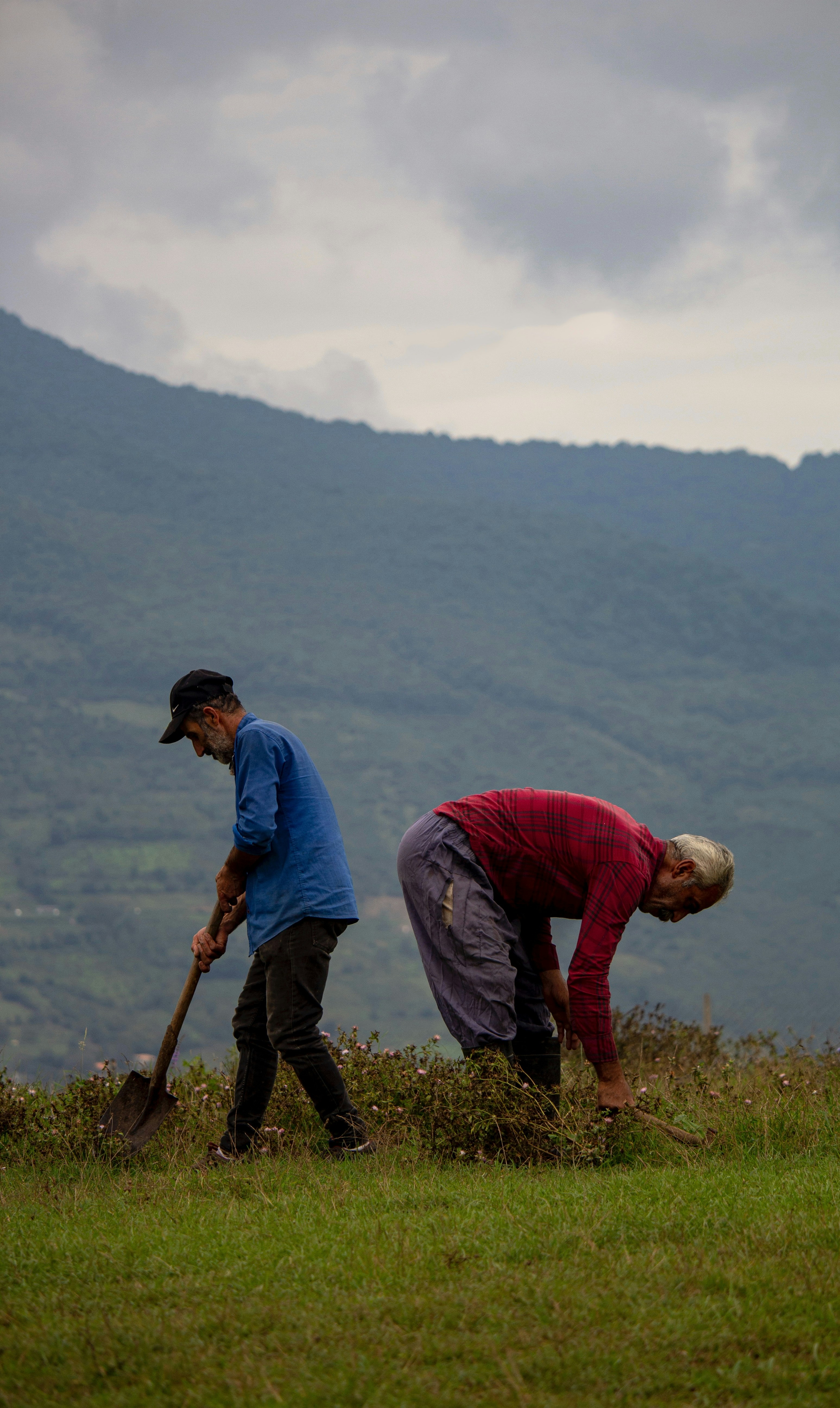A couple of men standing on top of a lush green hillside photo – Free ...