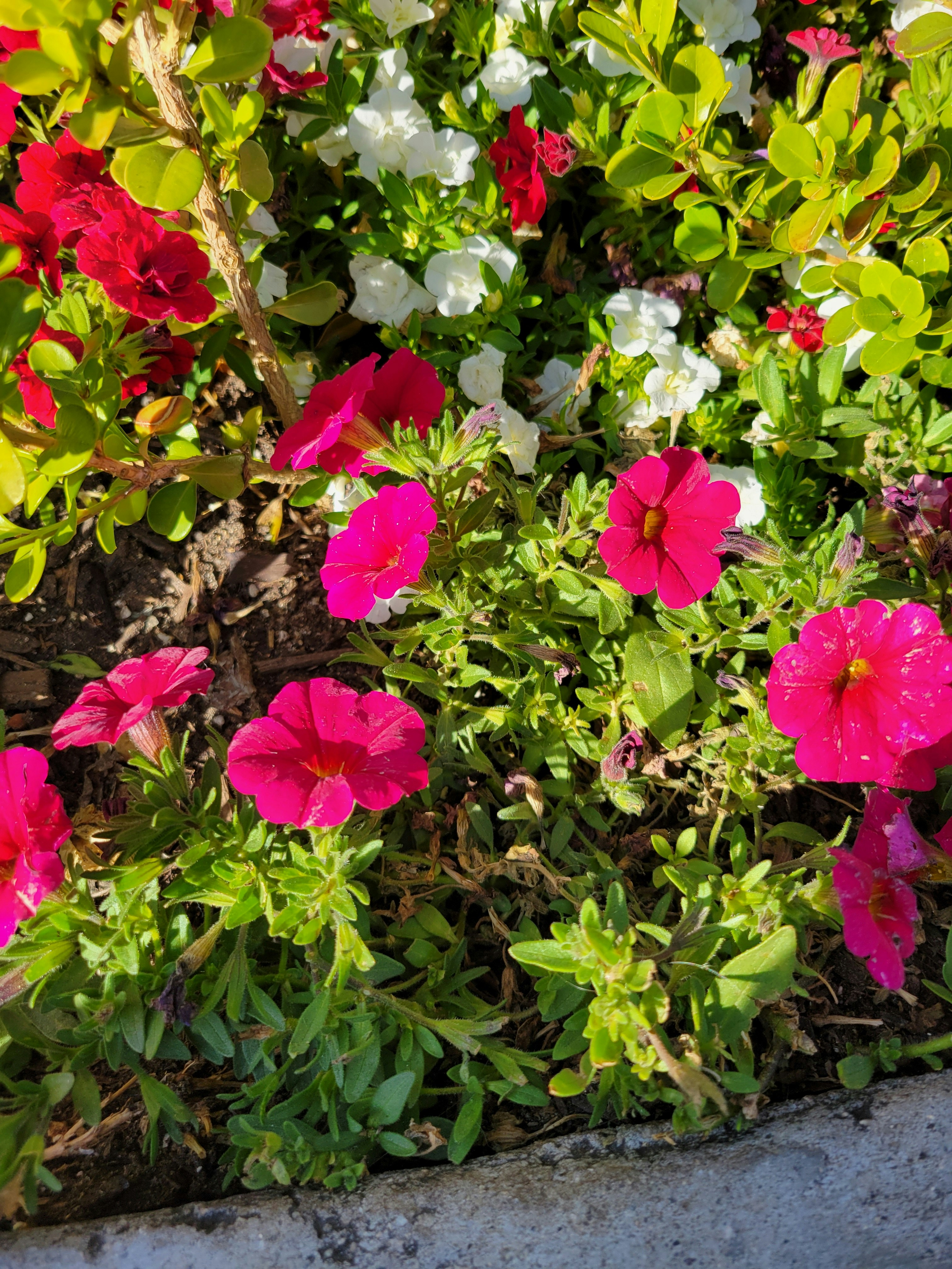 Photo by haripriya_k