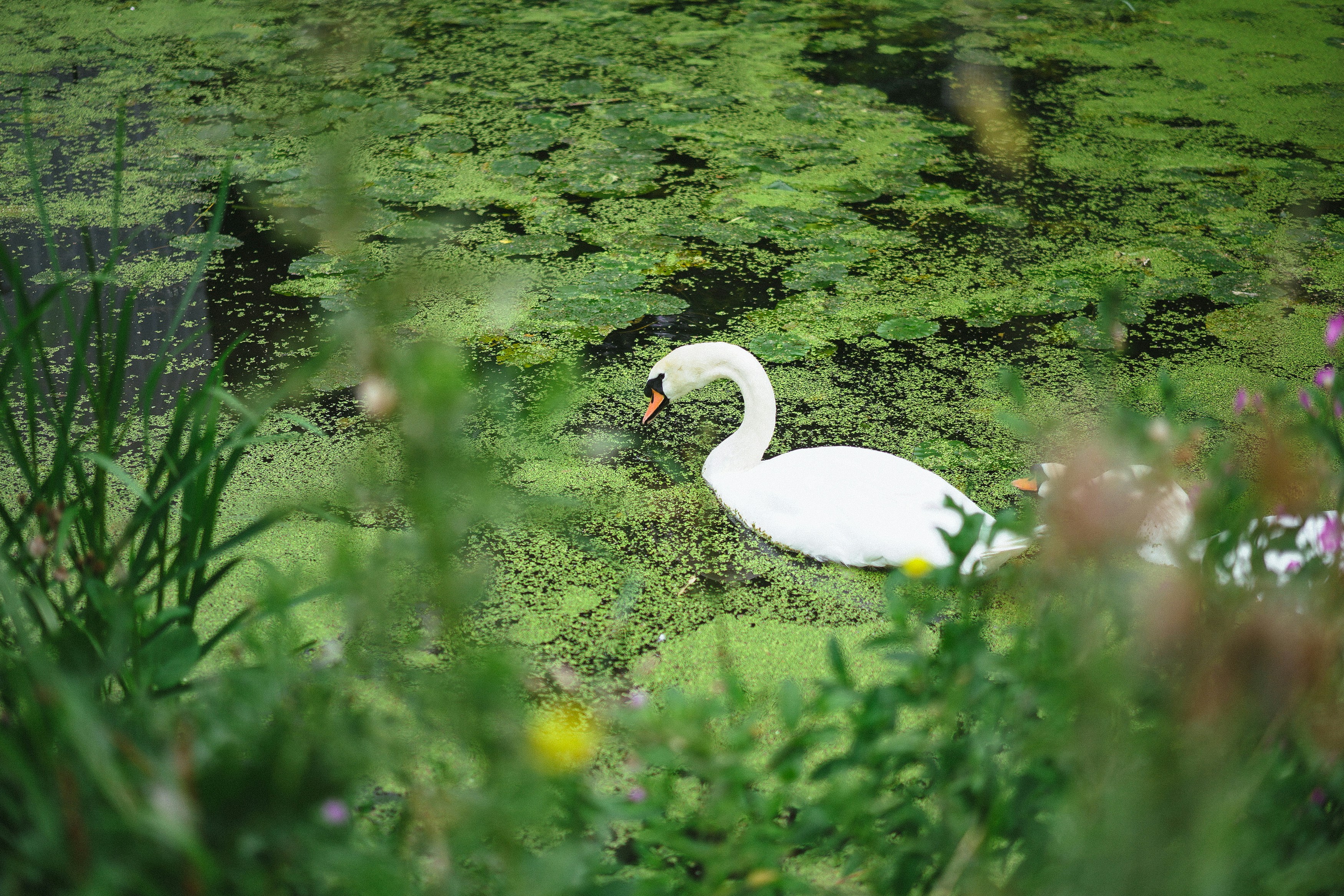 Photo by philhearing