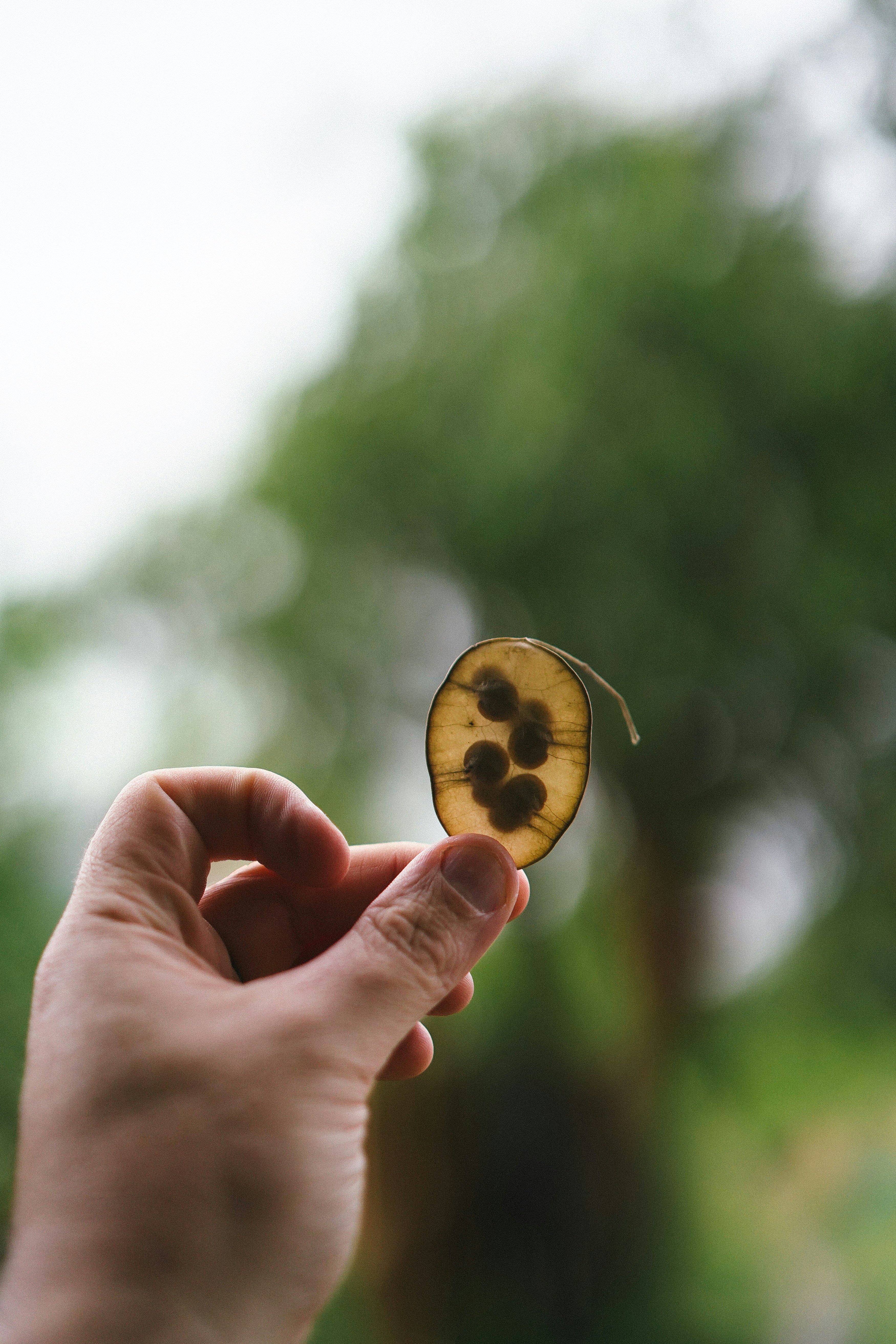 Photo by philhearing