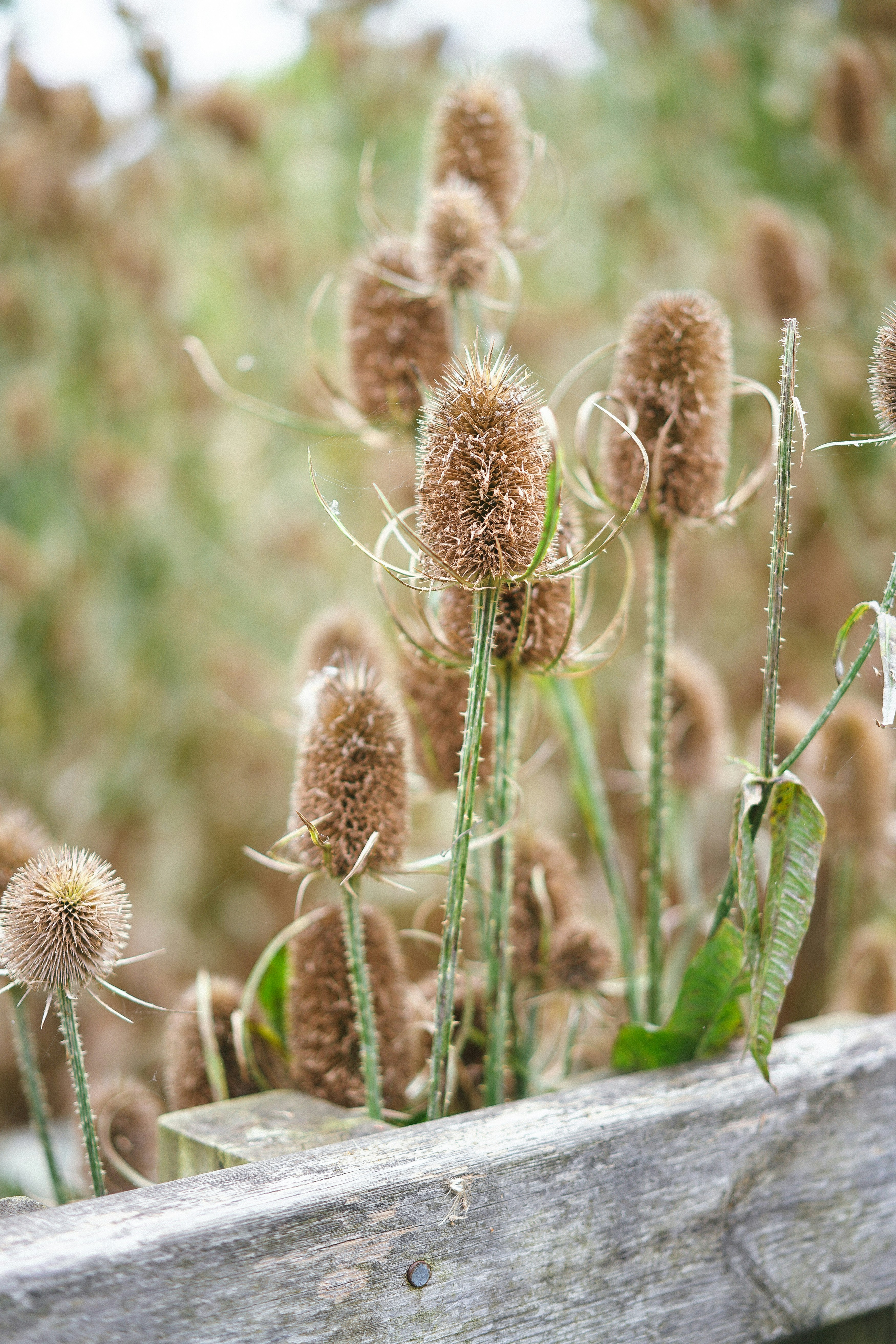 Photo by philhearing