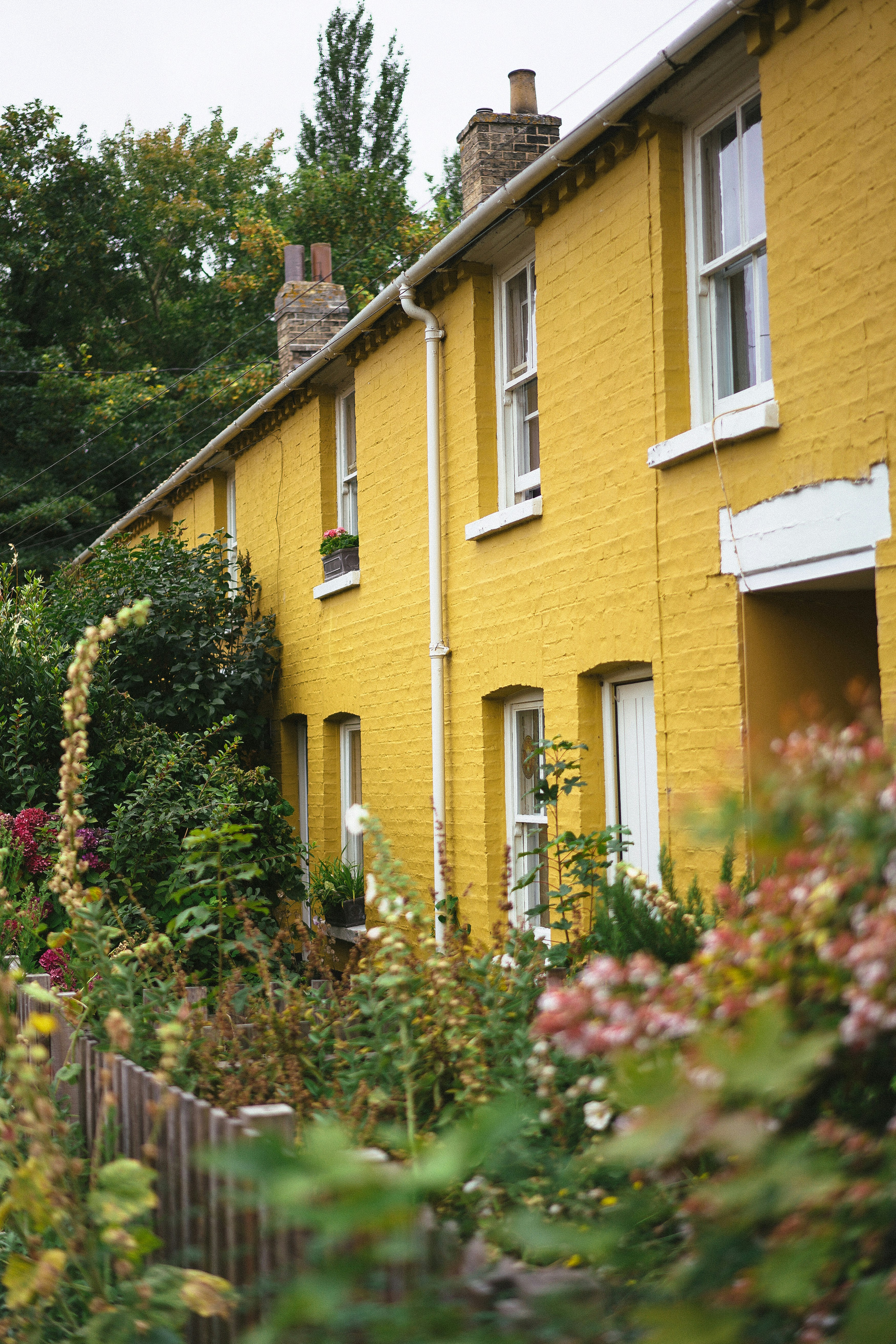 A row of yellow houses next to each other