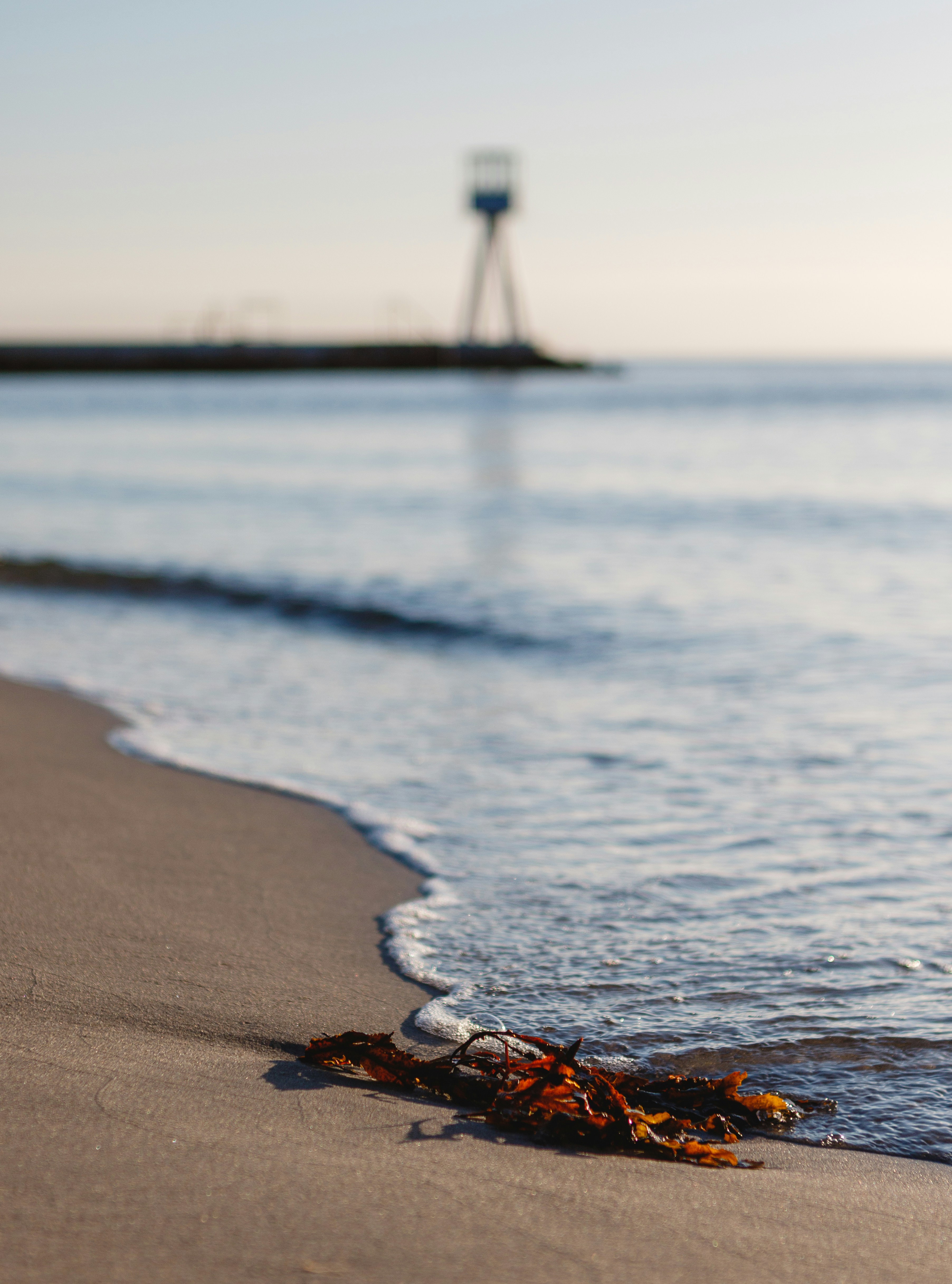 A view of the ocean from the beach