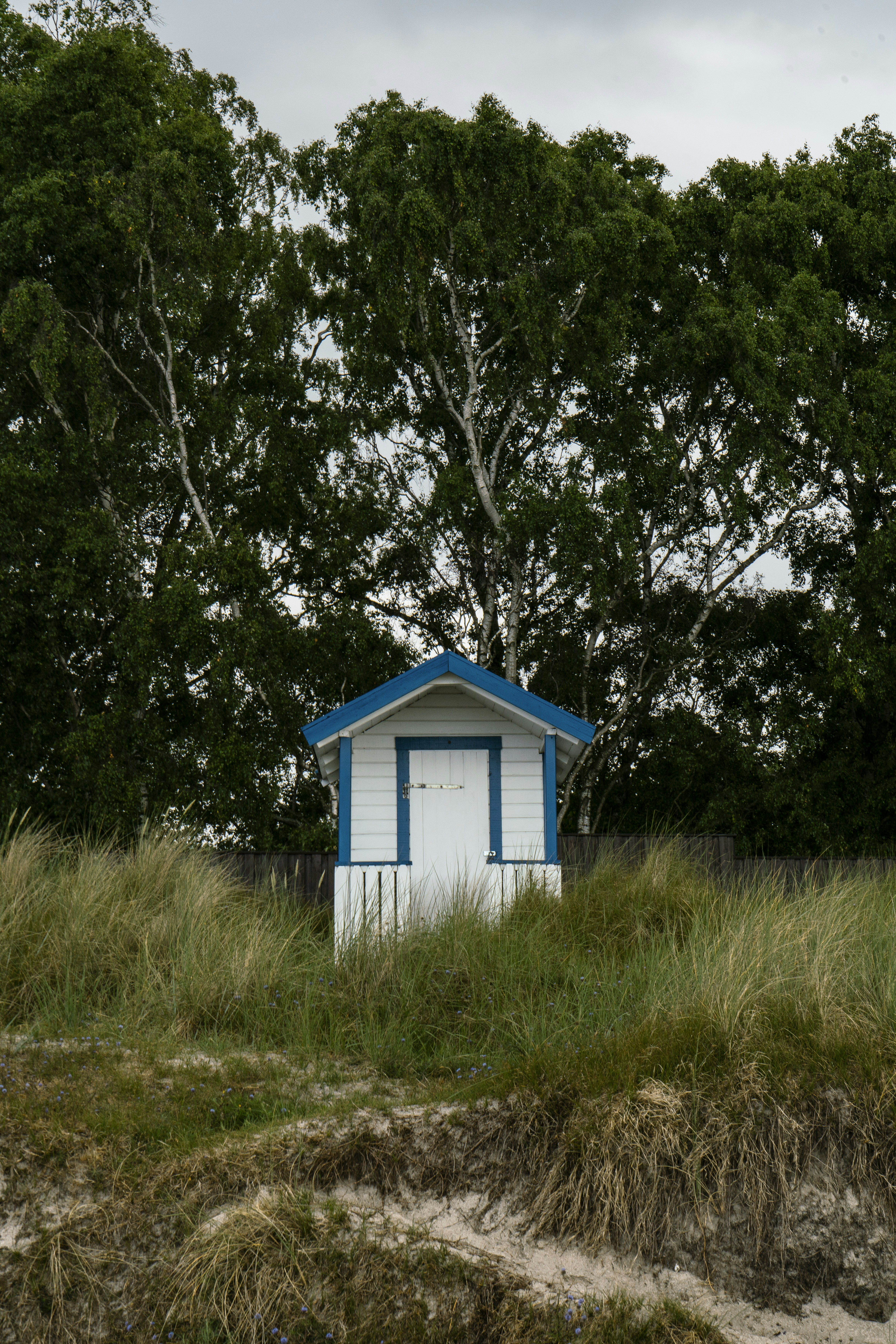 A blue and white beach hut in a grassy area