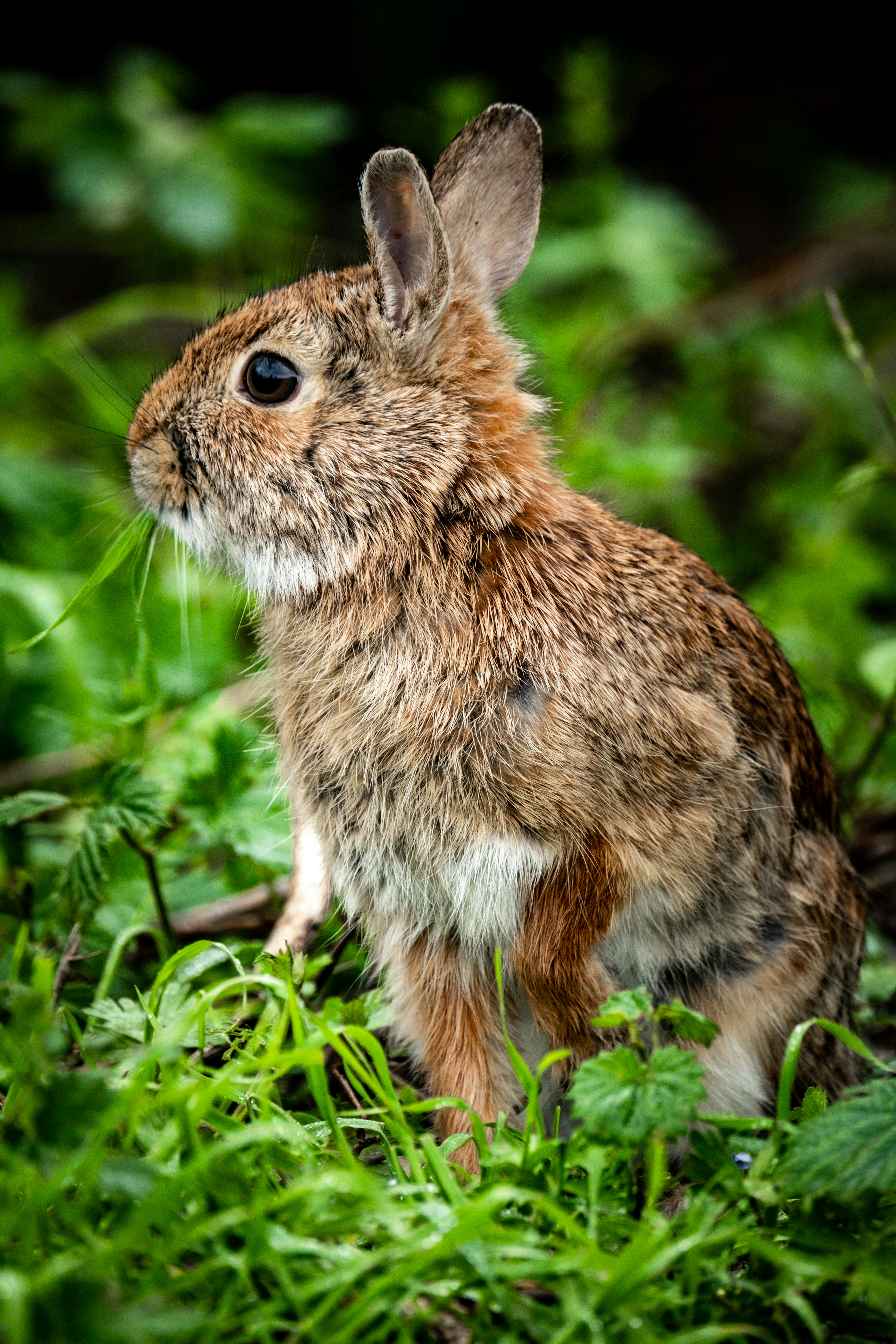 Photo by francesco_ungaro