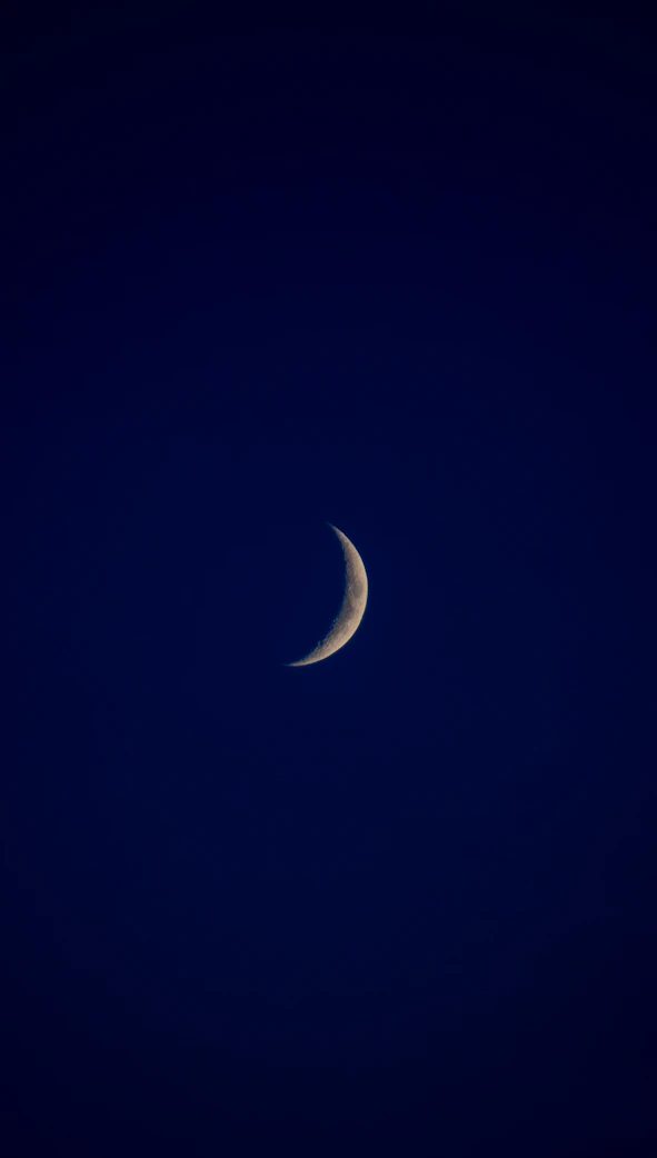 A half moon is seen in the dark sky