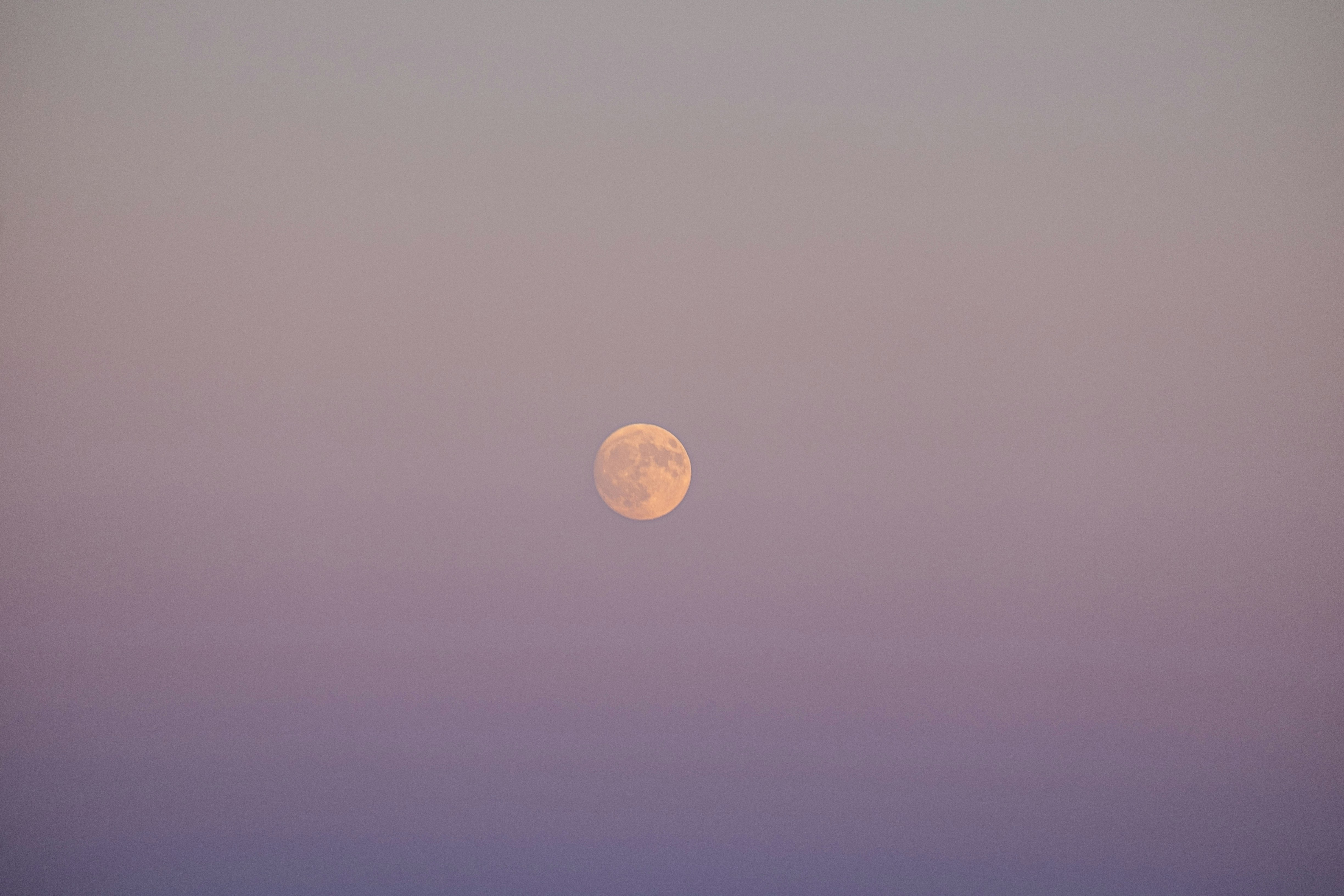 Photo by mo_design_3d