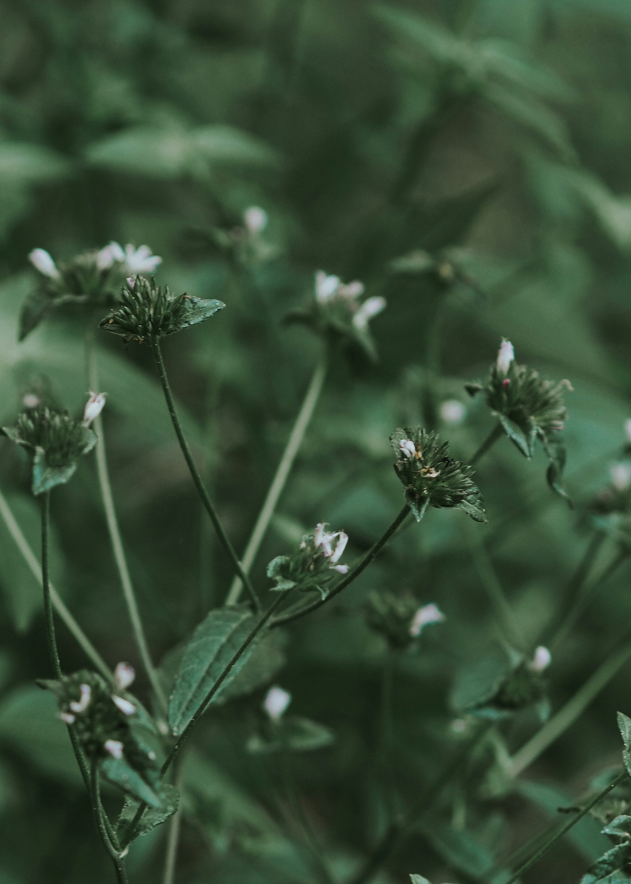 Photo by fieldworkframes