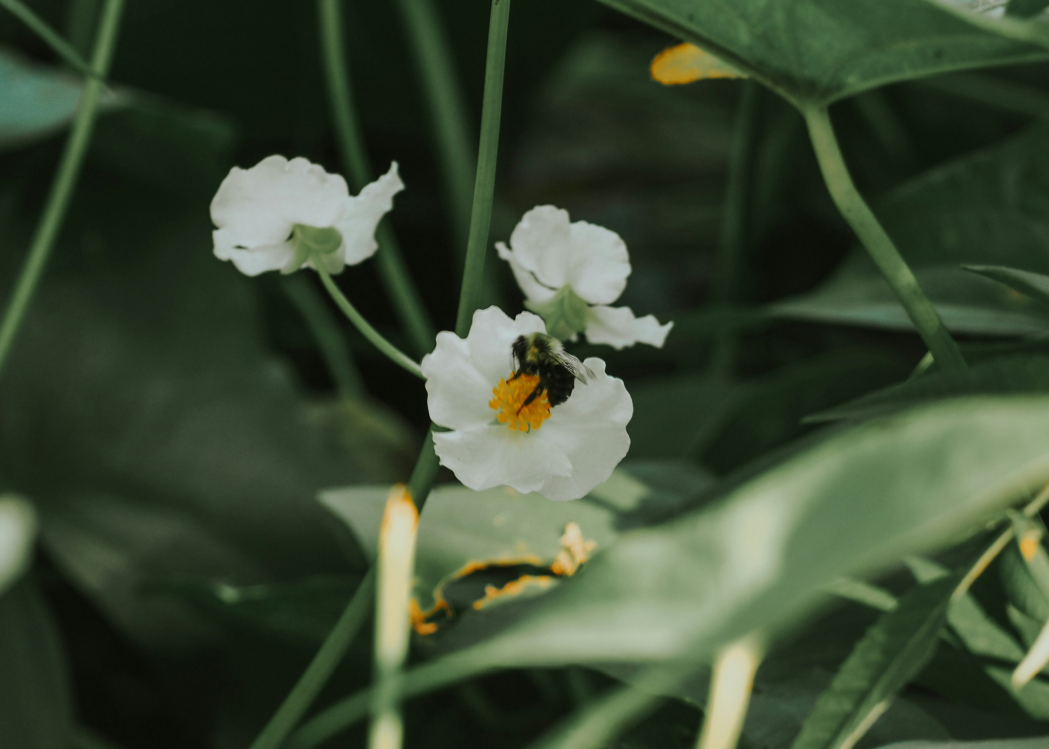 Photo by fieldworkframes