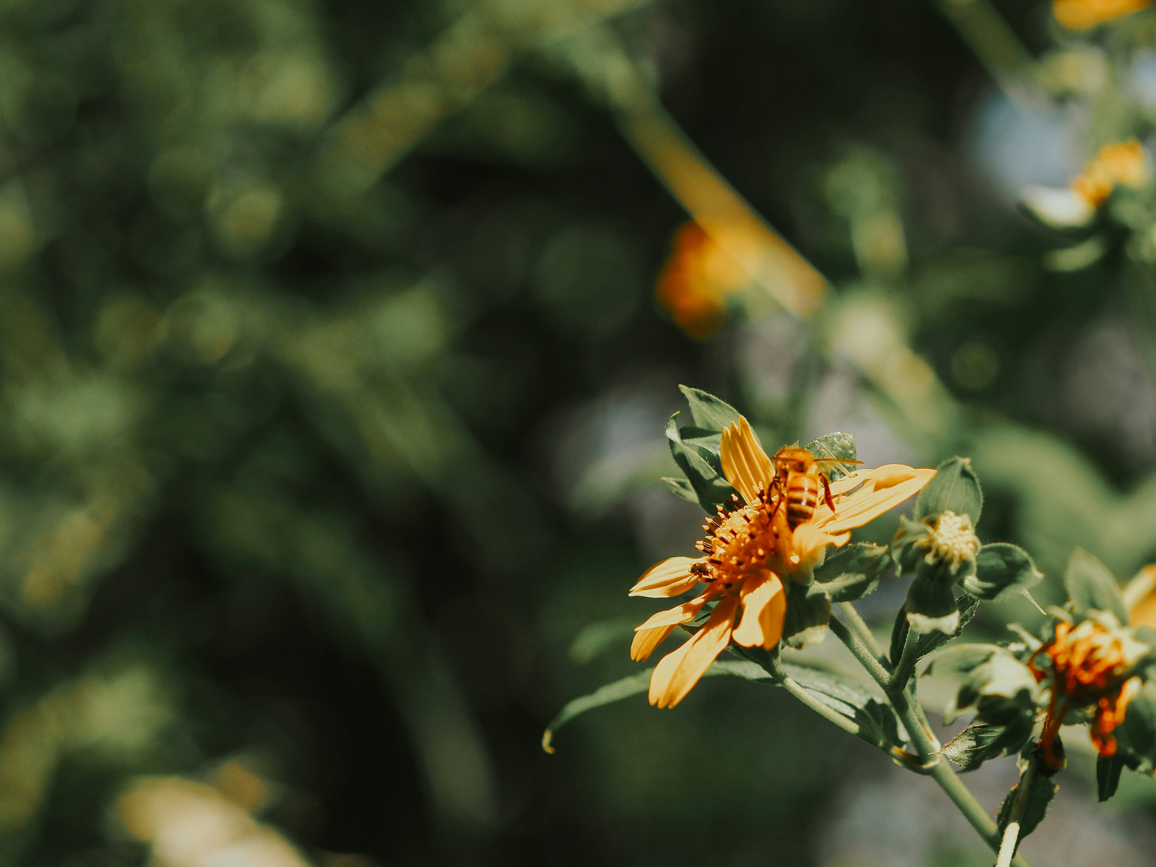 Photo by fieldworkframes