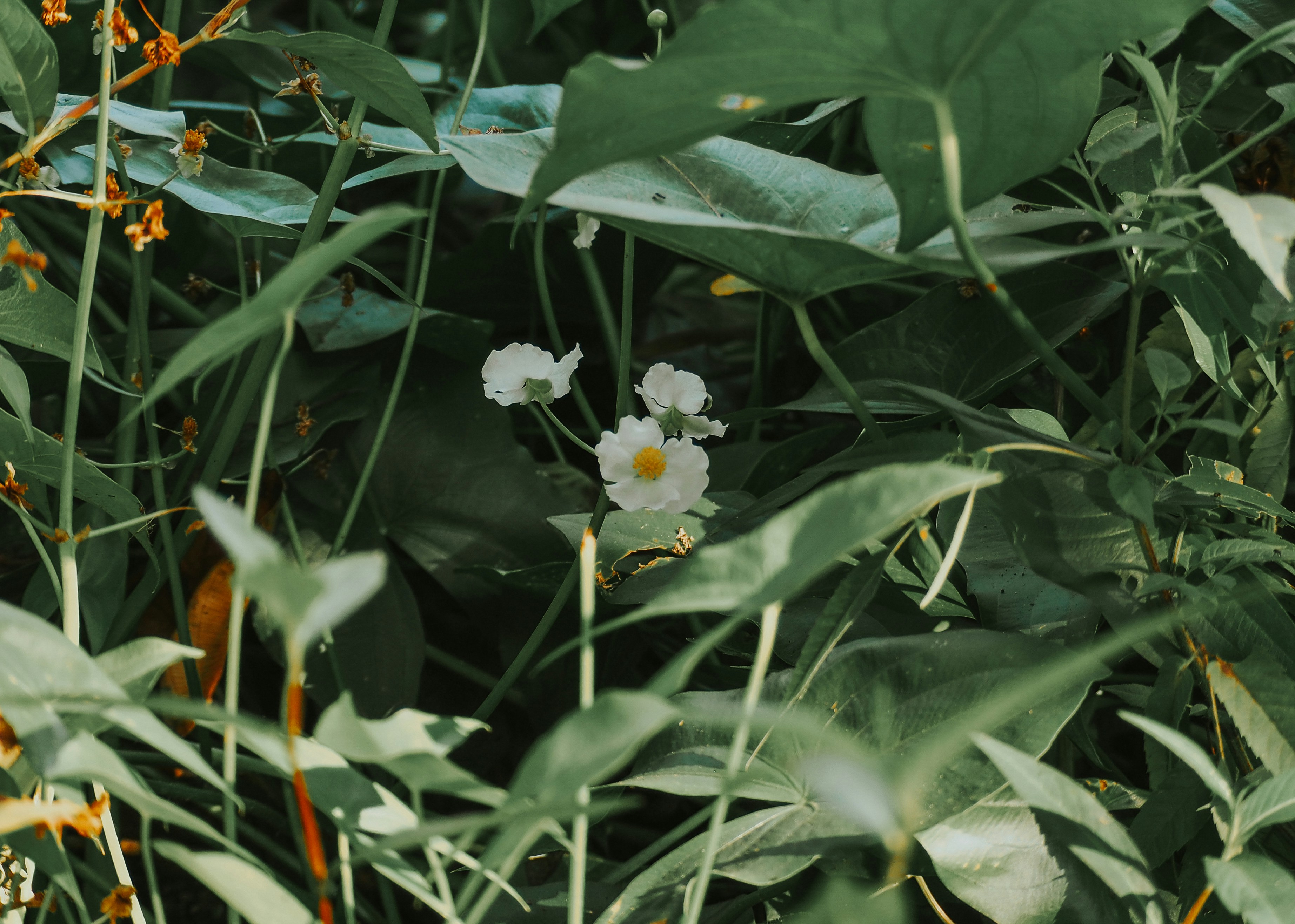 Photo by fieldworkframes