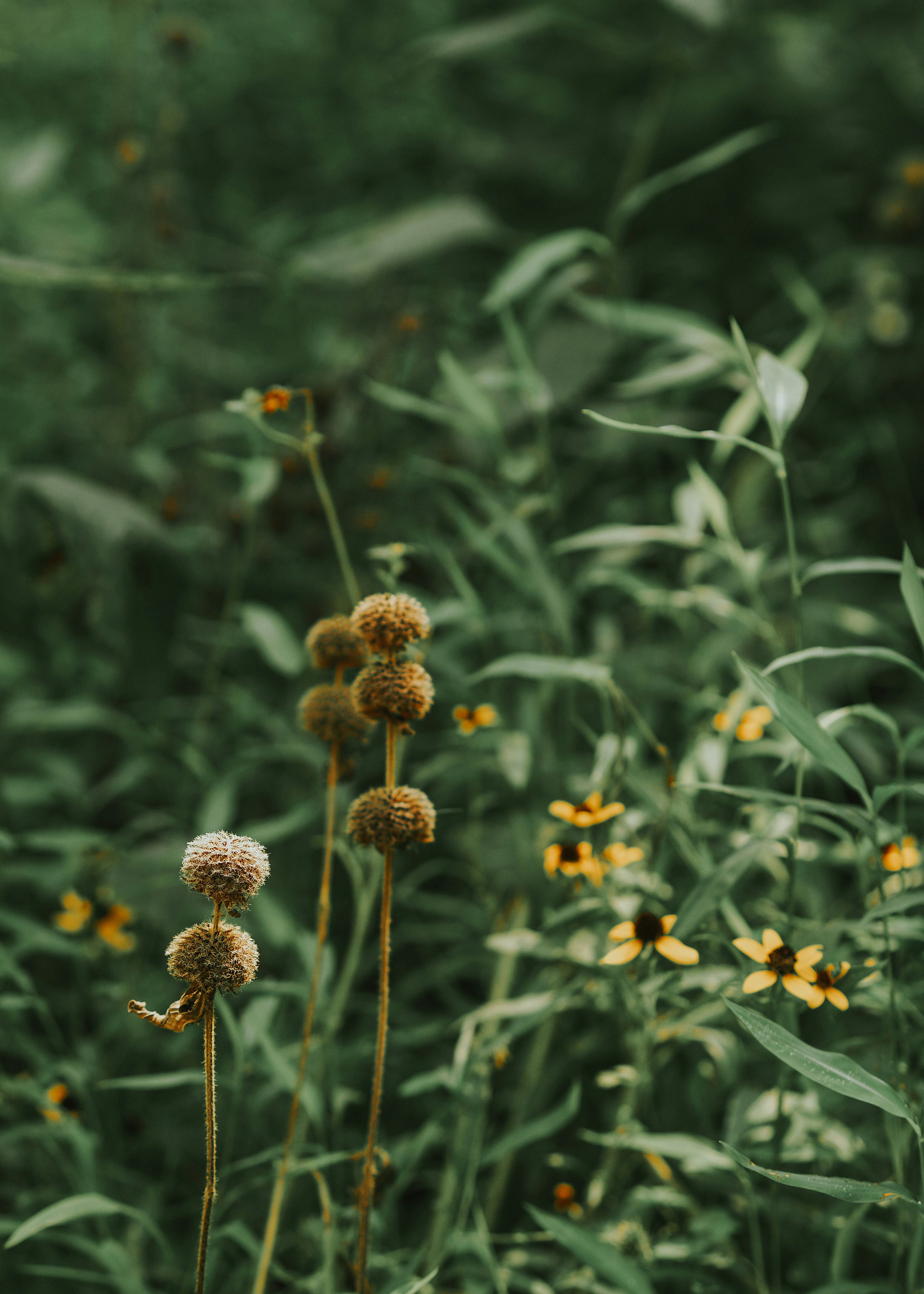 Photo by fieldworkframes