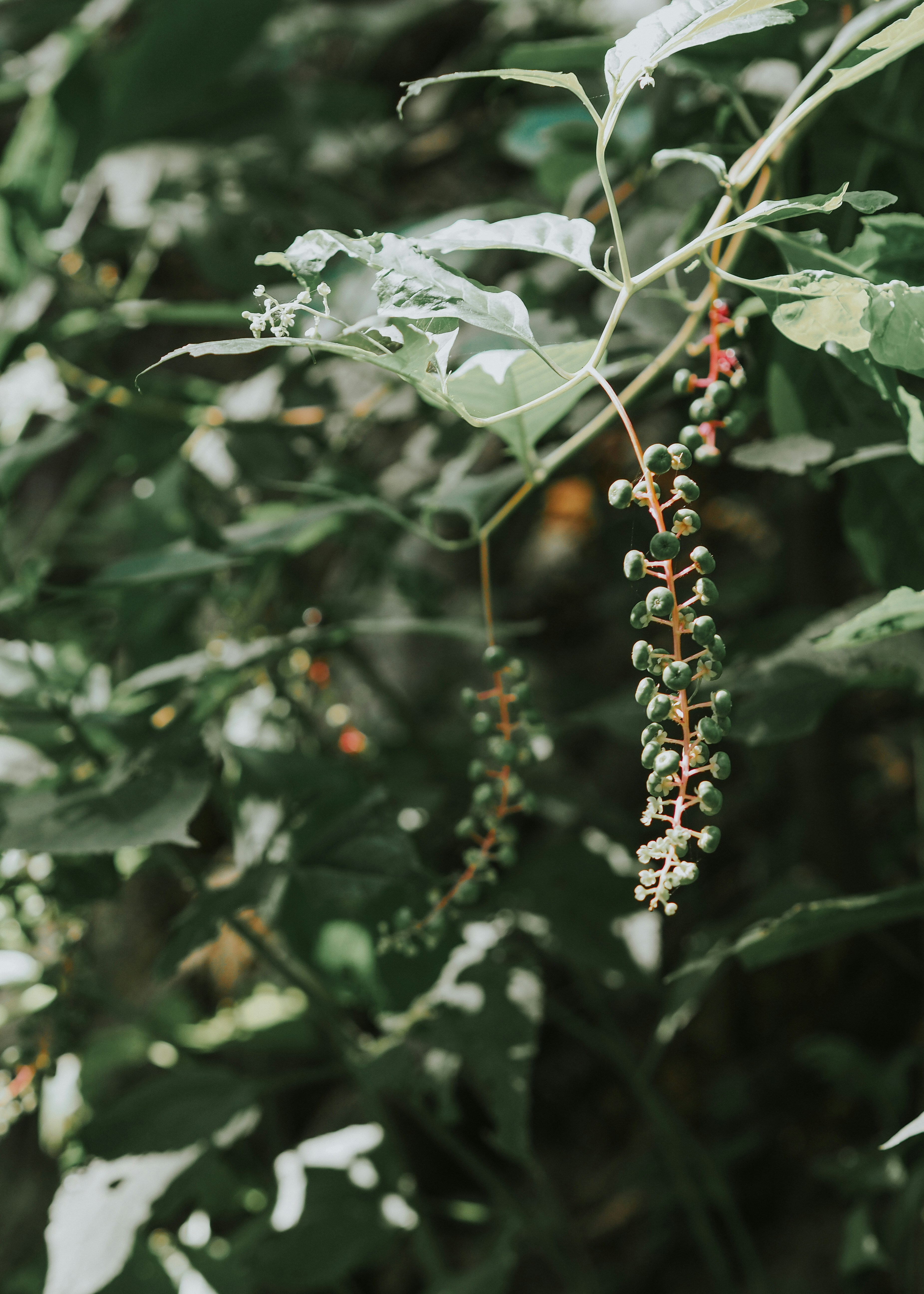 Photo by fieldworkframes