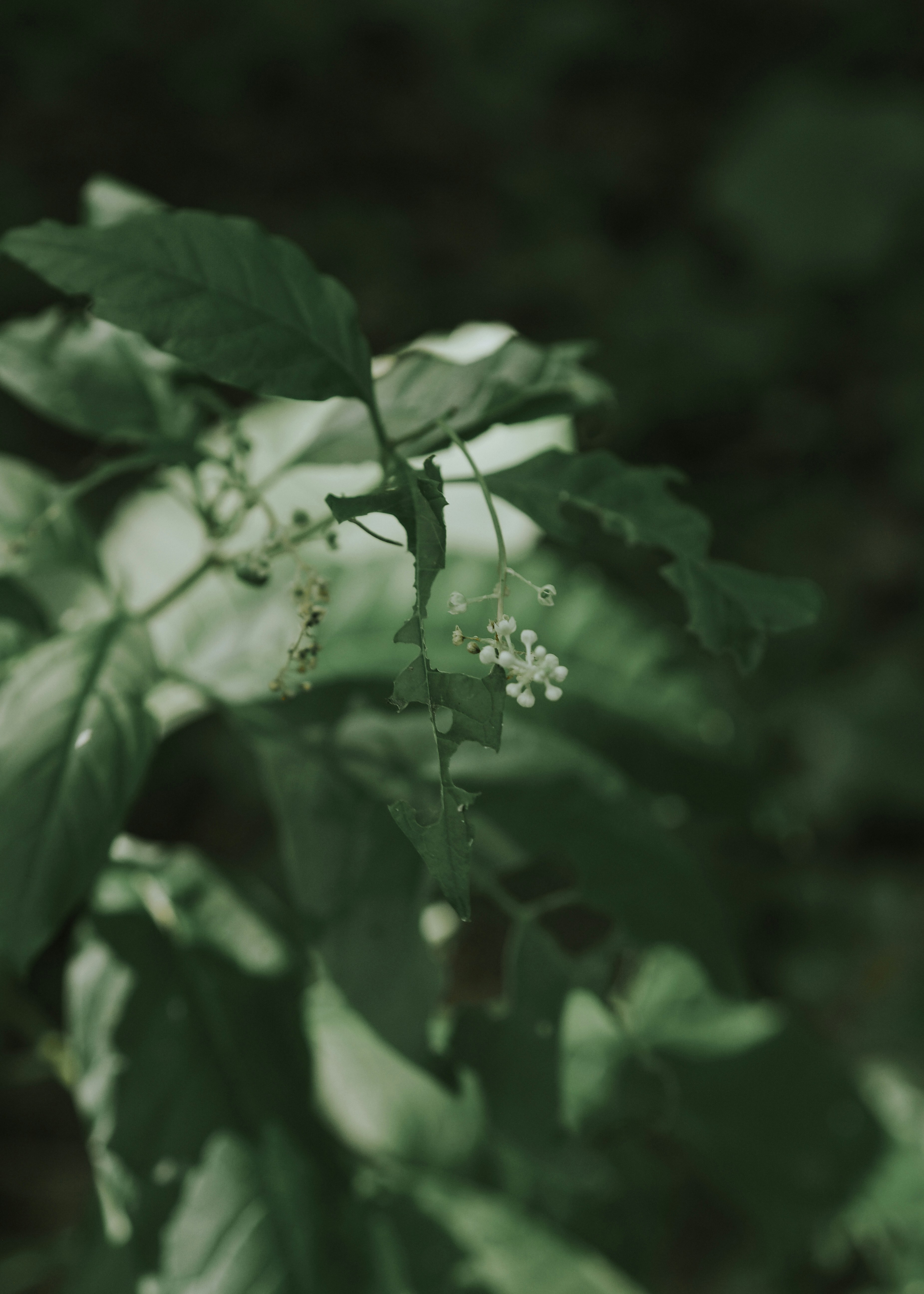 Photo by fieldworkframes