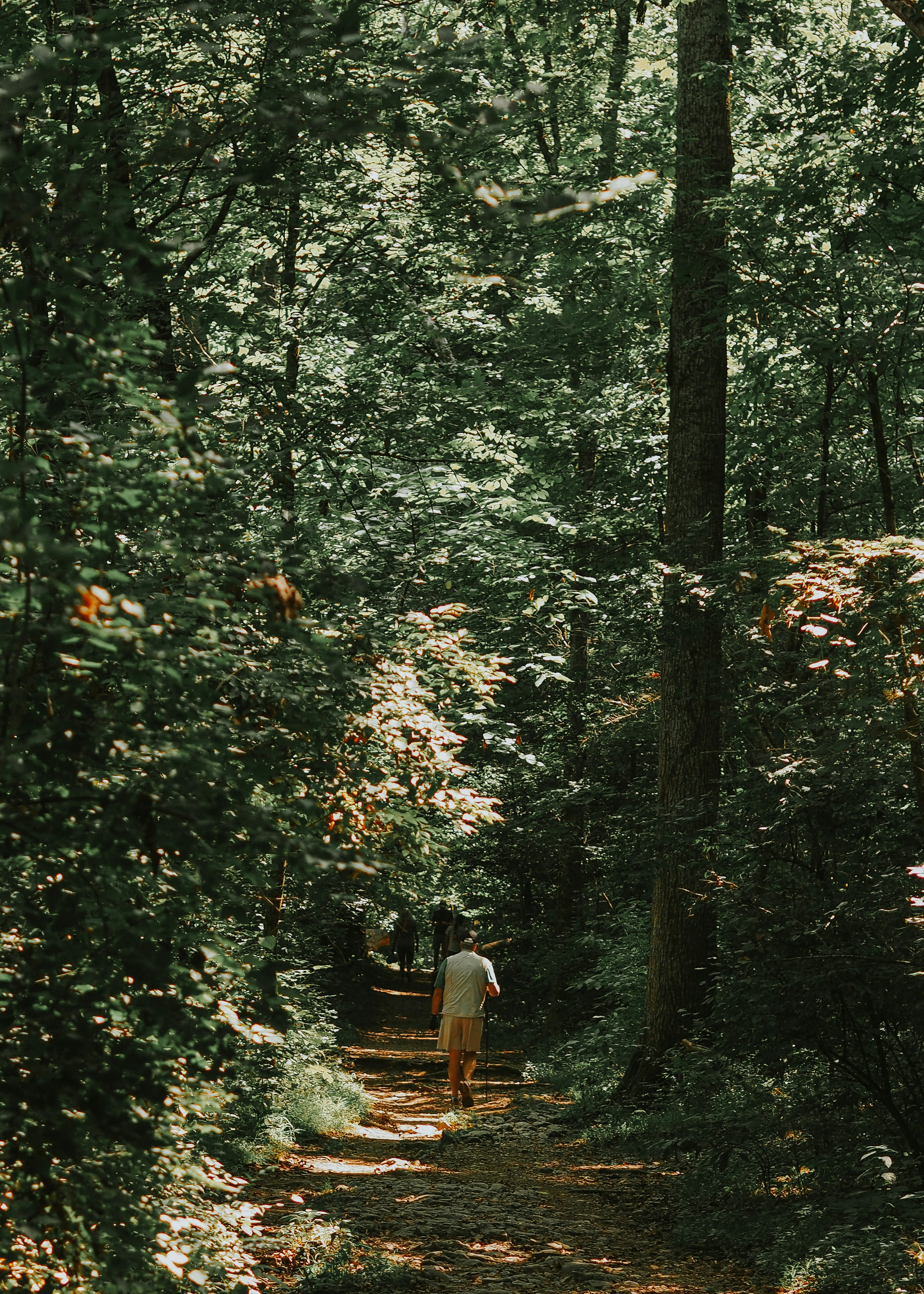 Photo by fieldworkframes