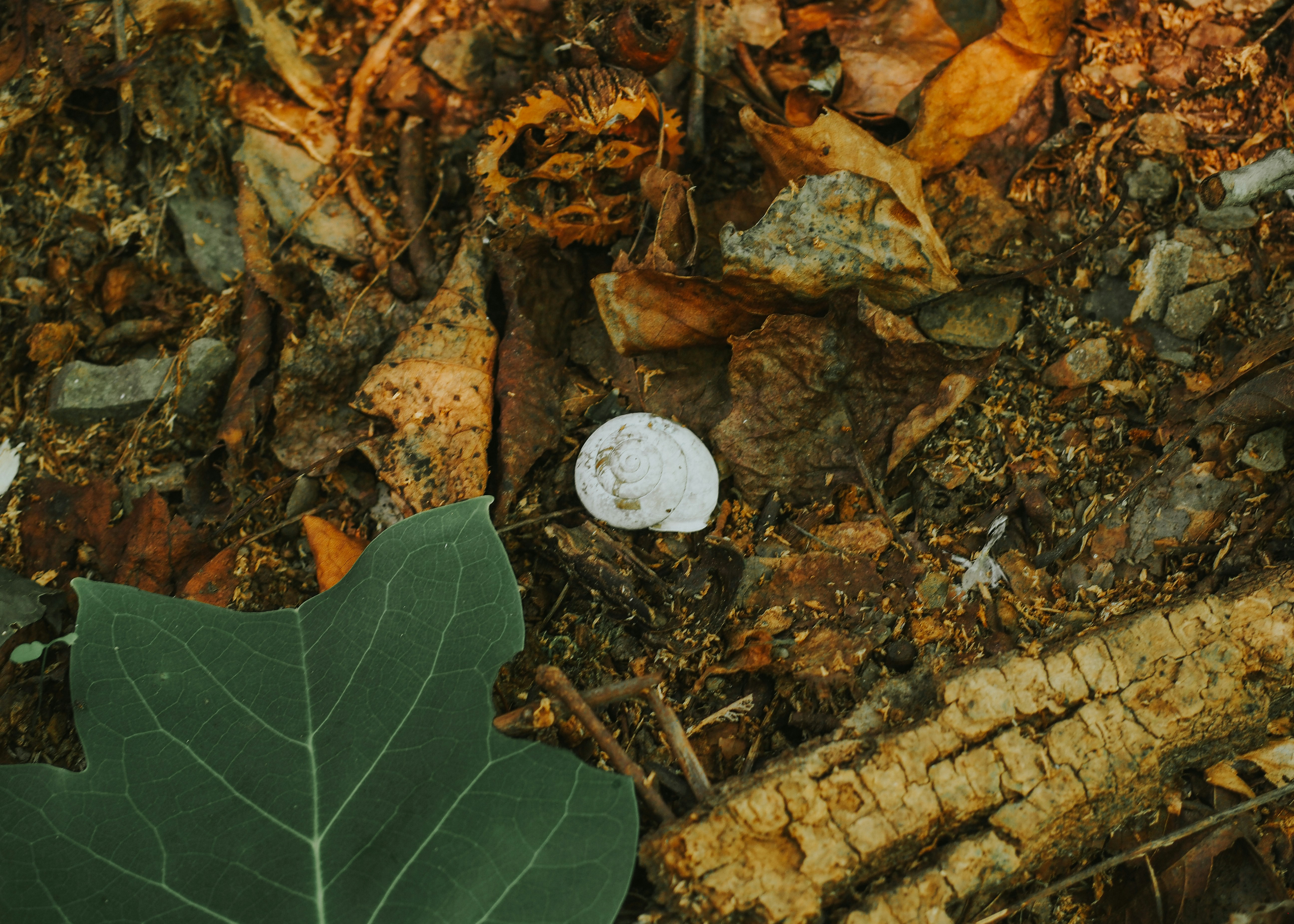 Photo by fieldworkframes