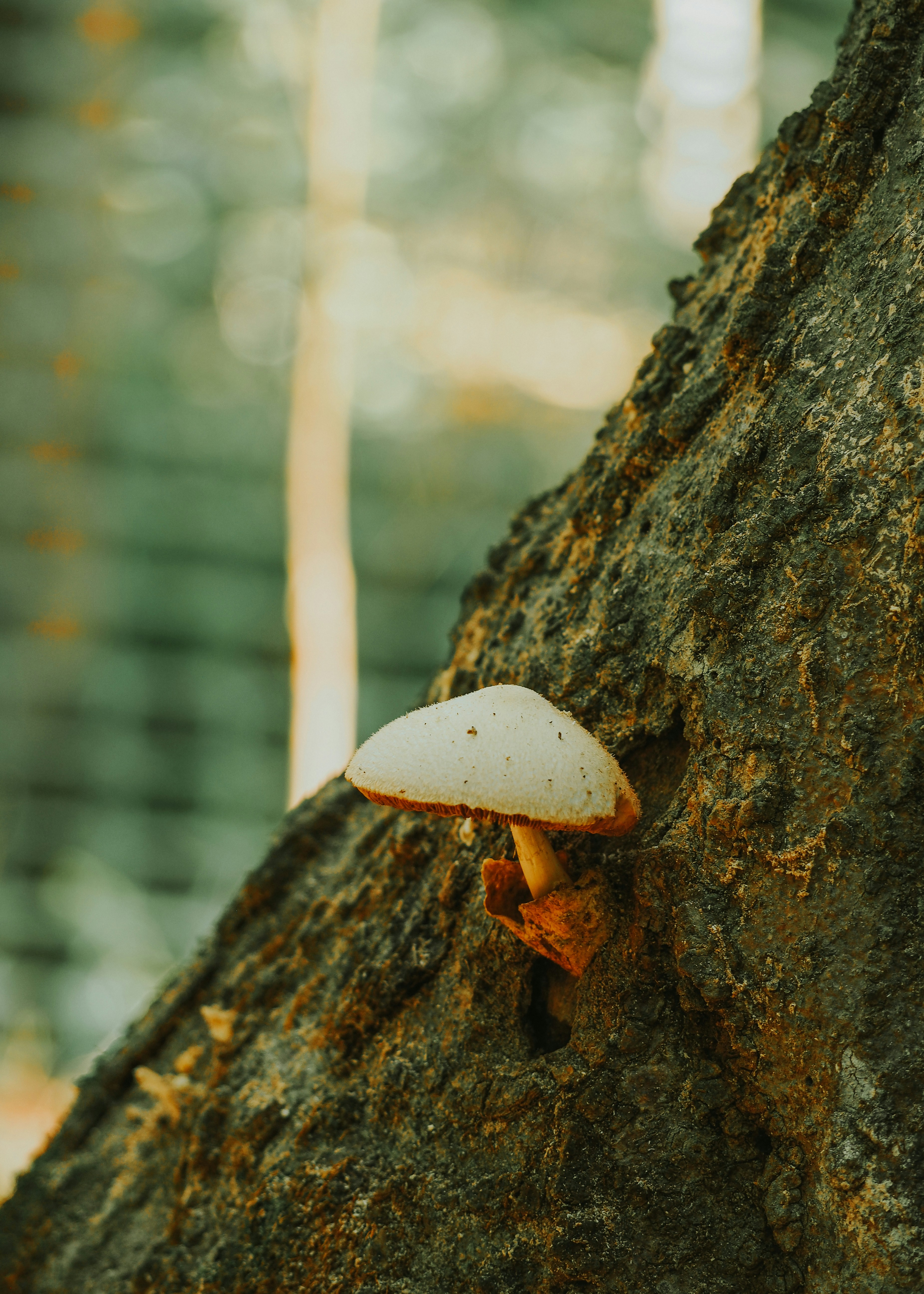 Photo by fieldworkframes
