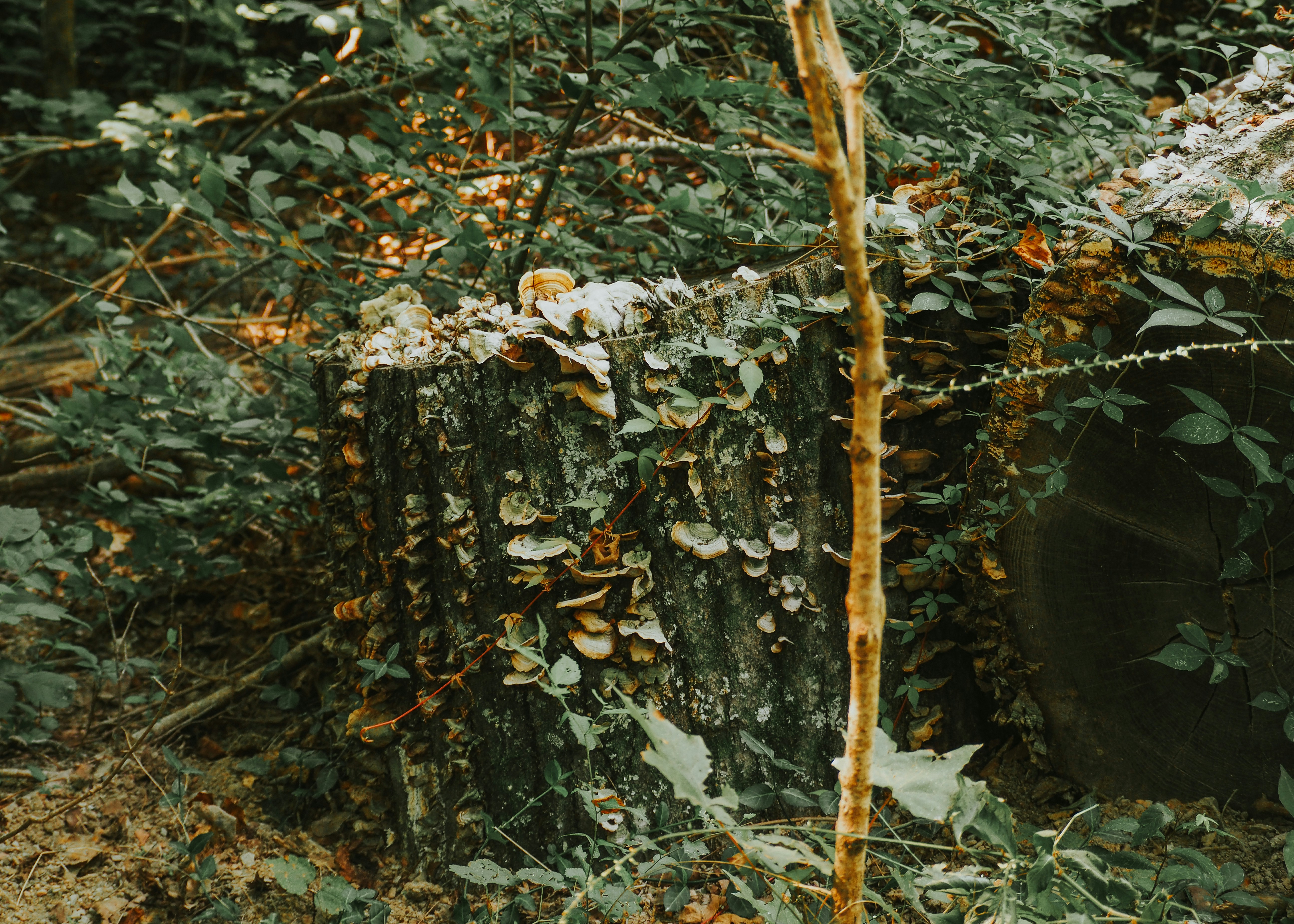 Photo by fieldworkframes