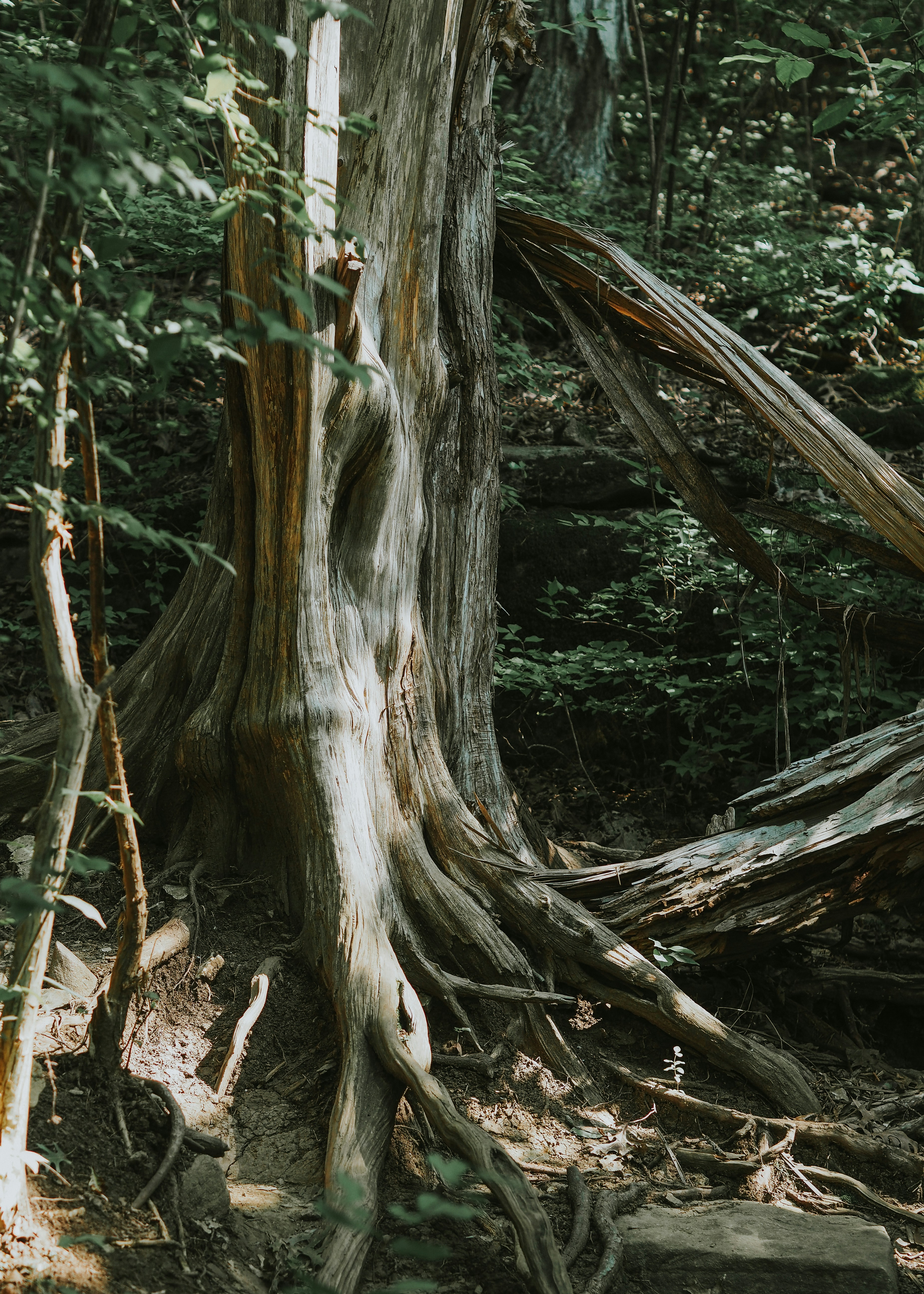 Photo by fieldworkframes
