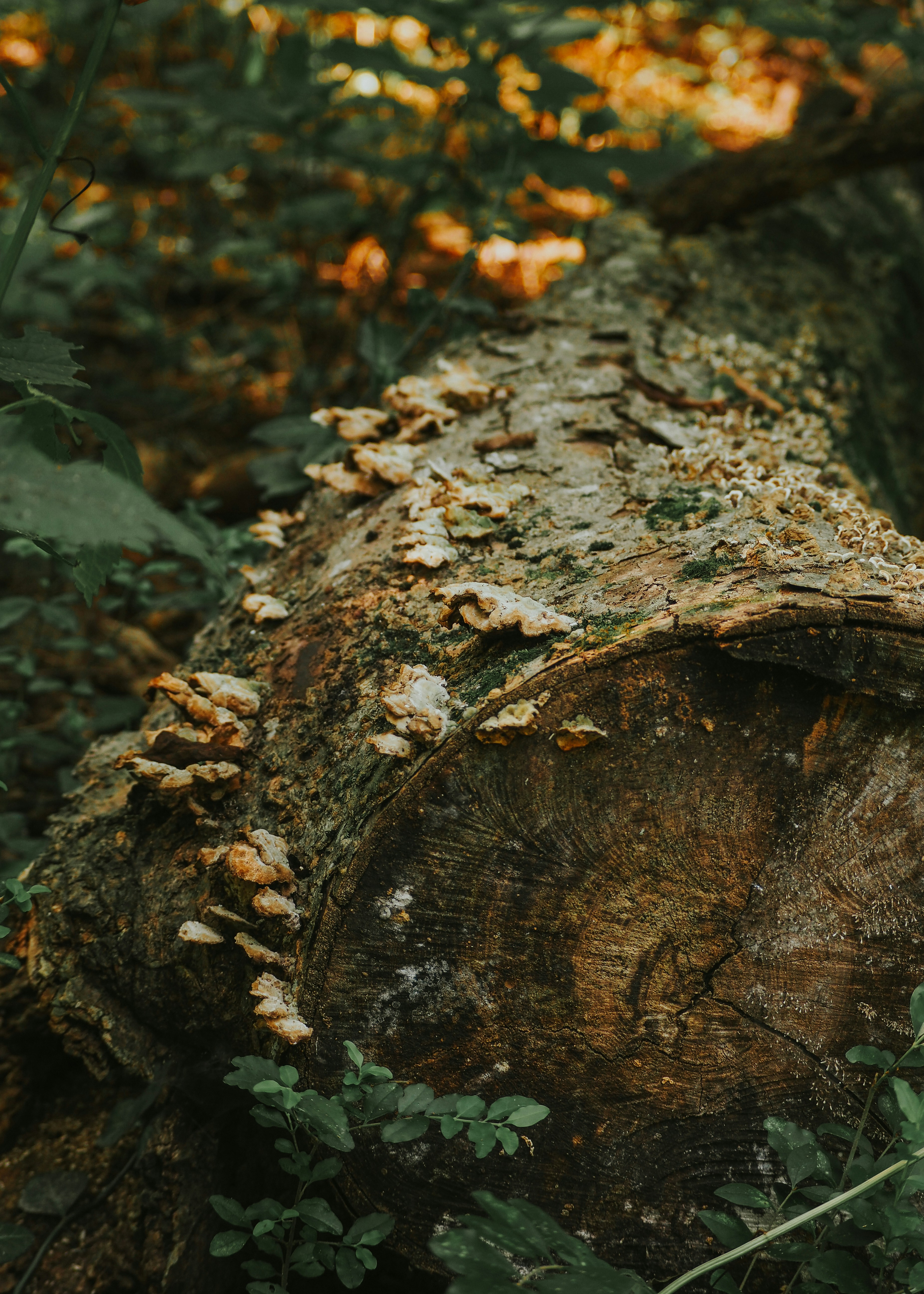 Photo by fieldworkframes