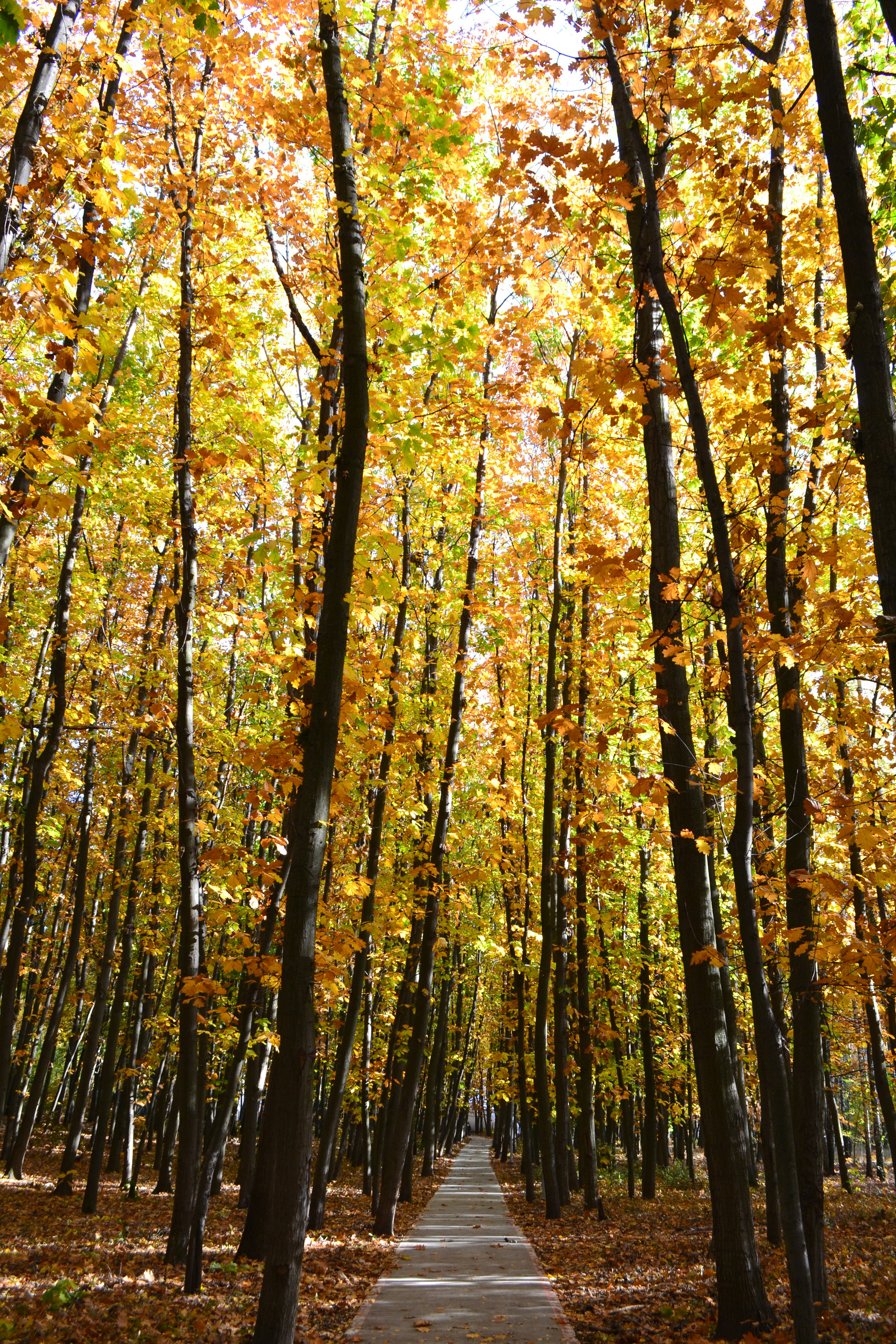 Photo by yuliiabarabash