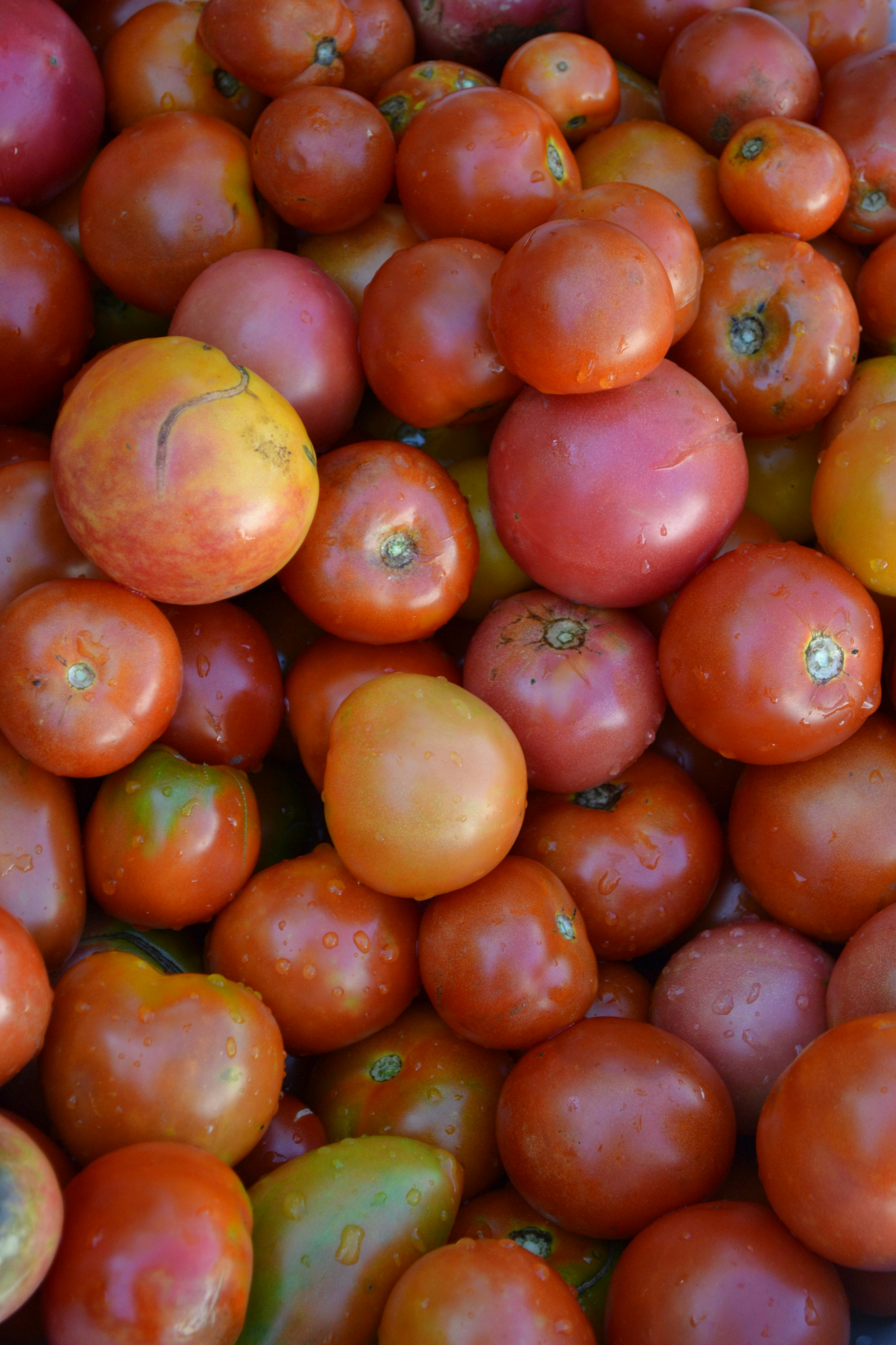 Photo by yuliiabarabash