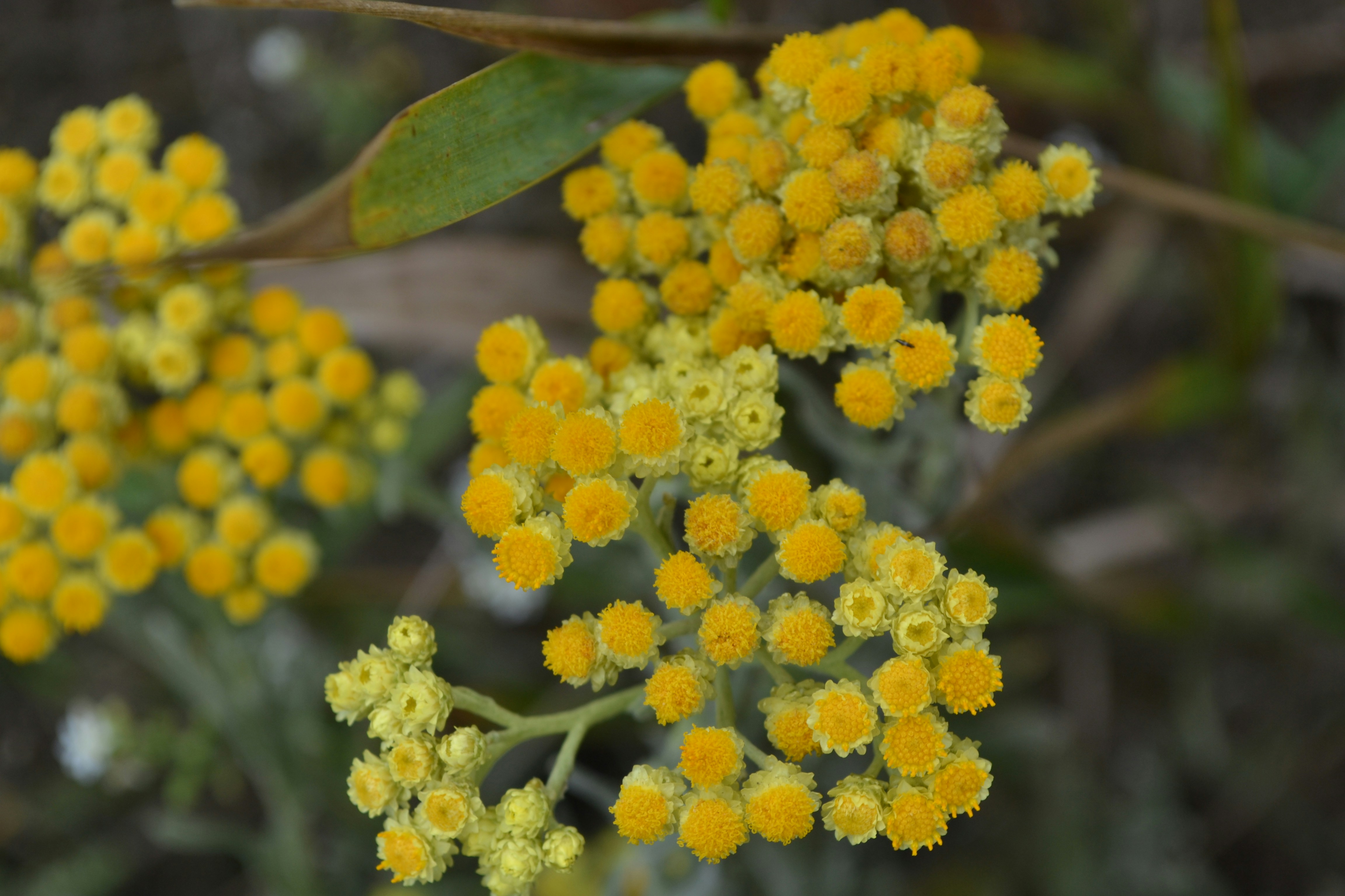 Photo by yuliiabarabash