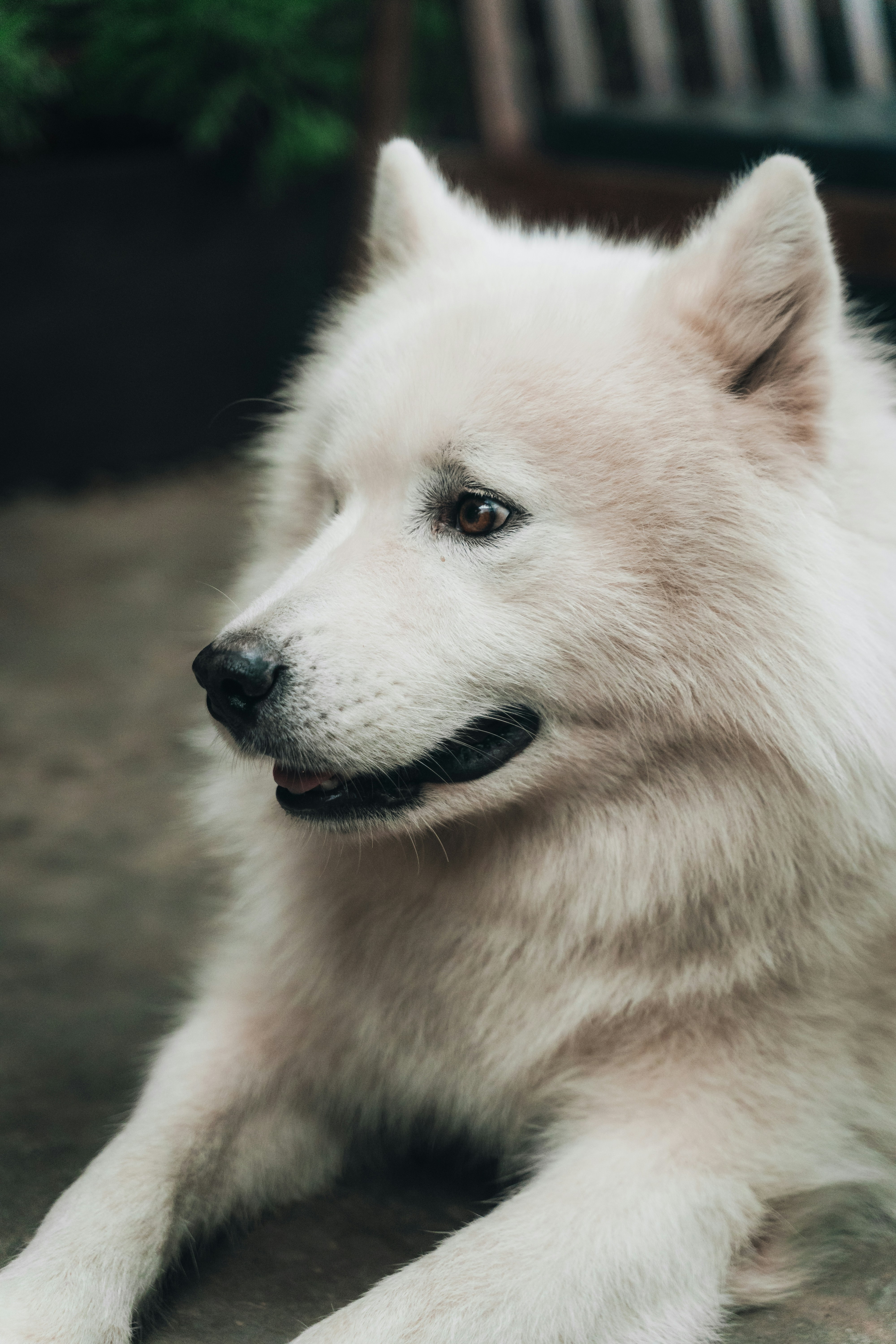 Photo by chuchu123456