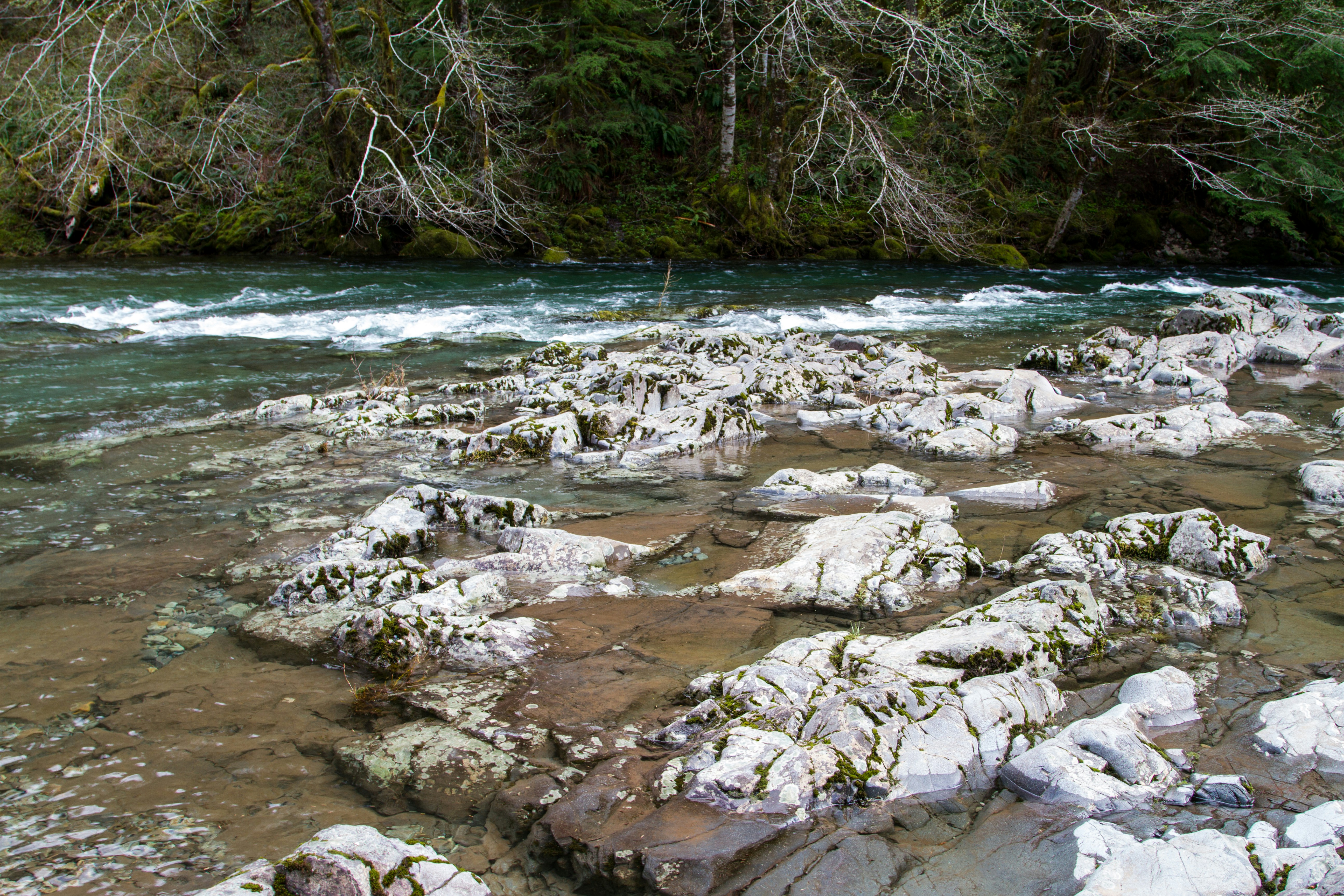 岩だらけの森の中を流れる川
