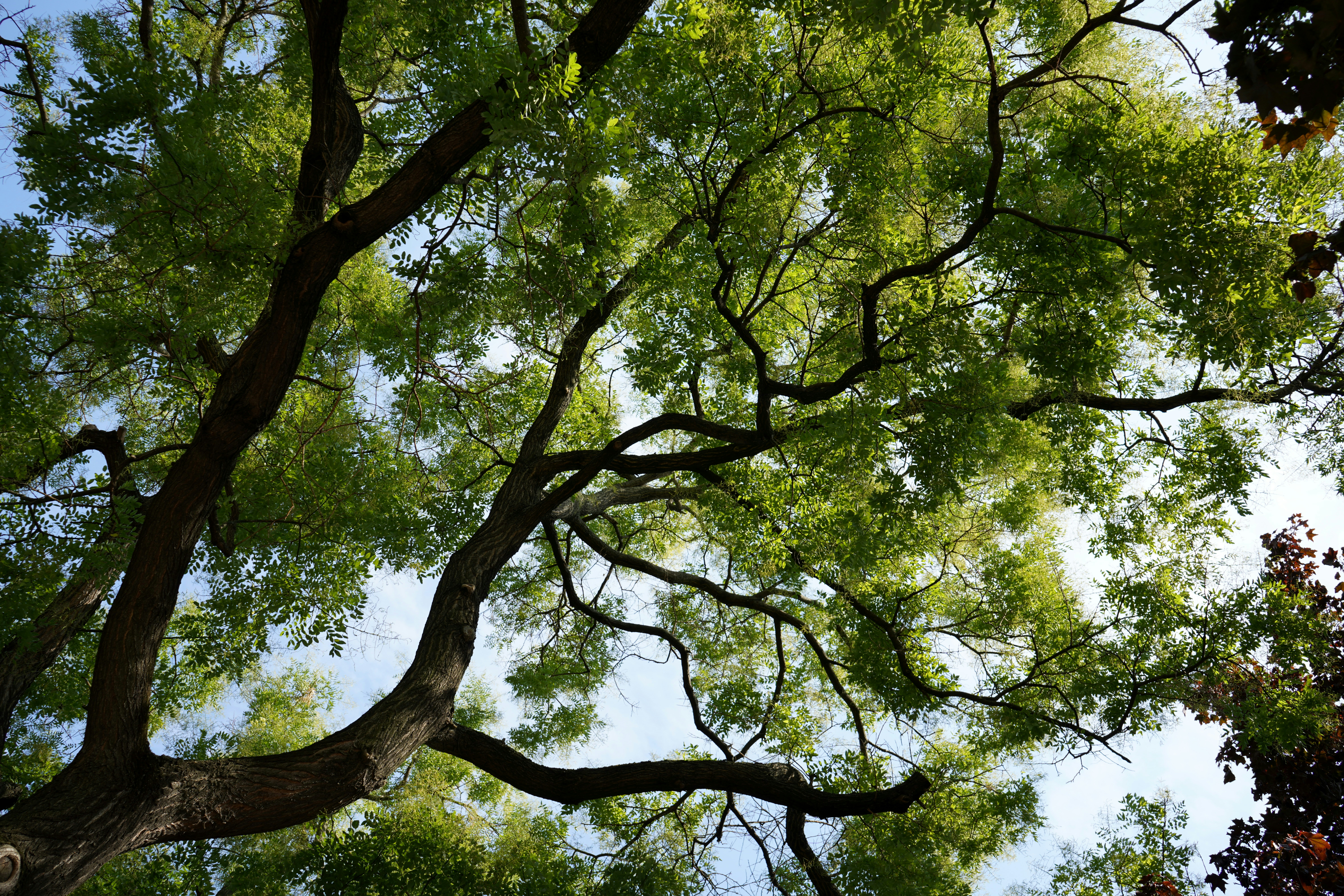 Understanding DeFi Lending Protocols: How They Operate, Their Benefits, and Key Examples