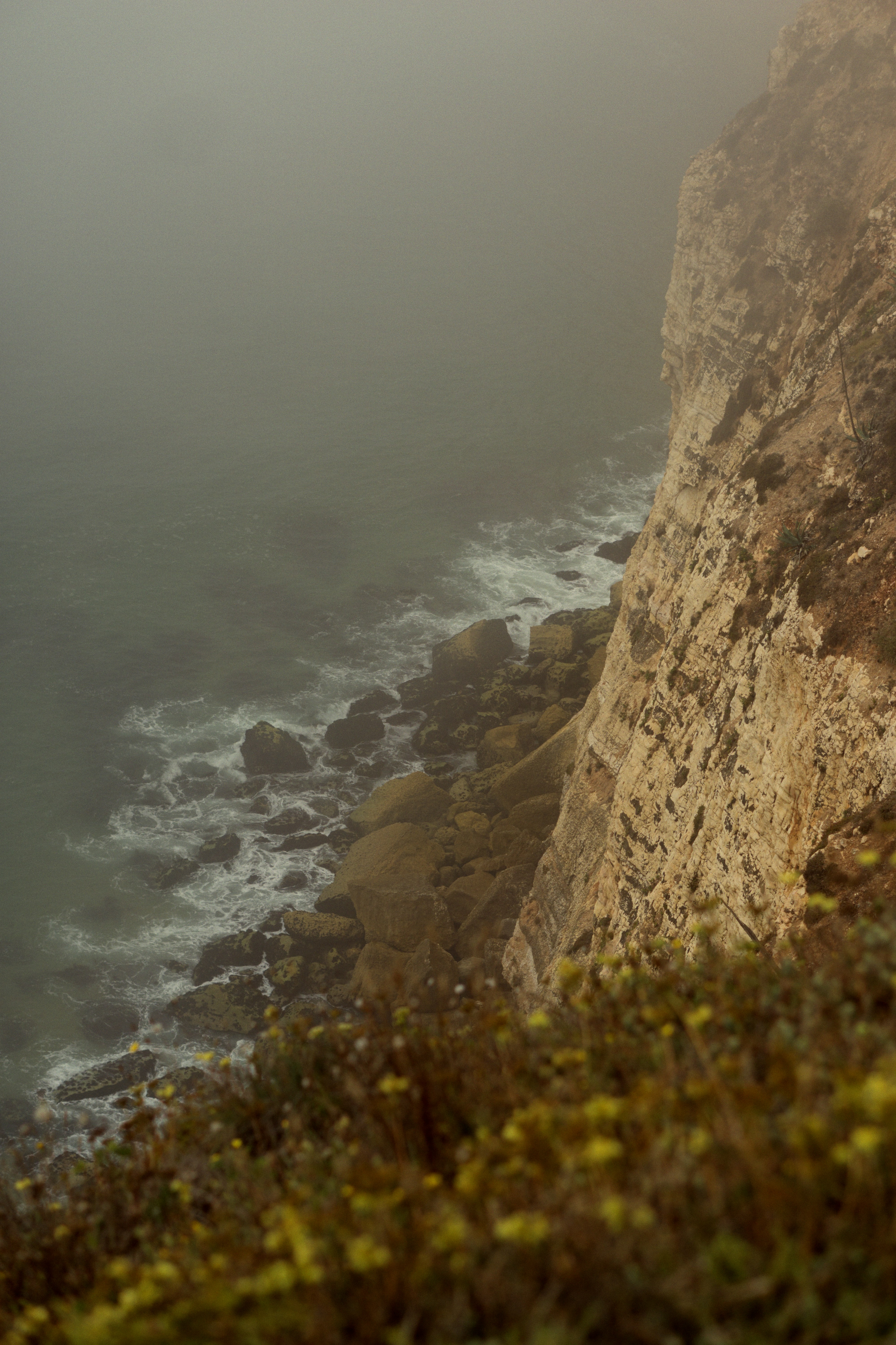 Photo by astashov_artem