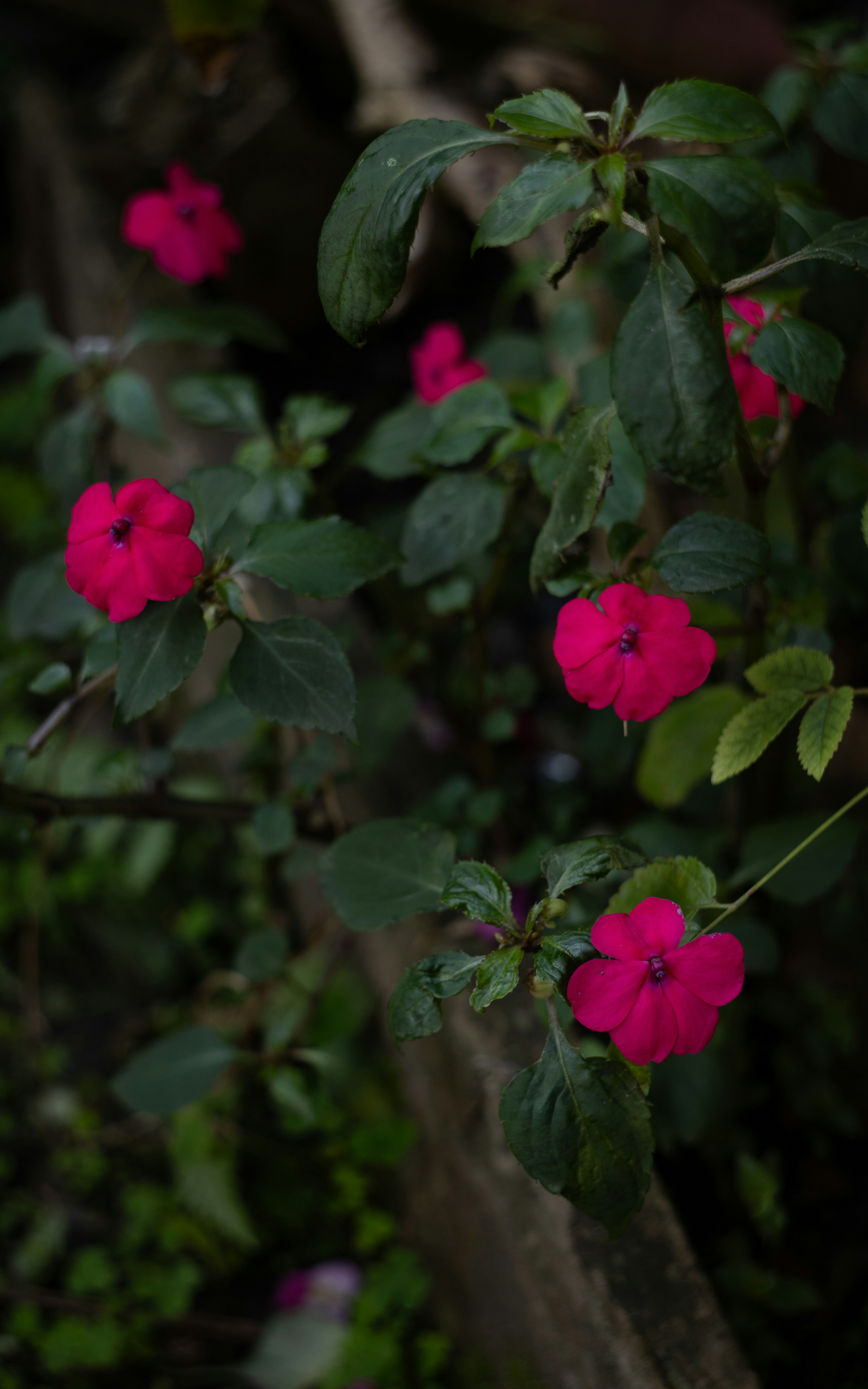 Photo by lucasdalamartaphoto