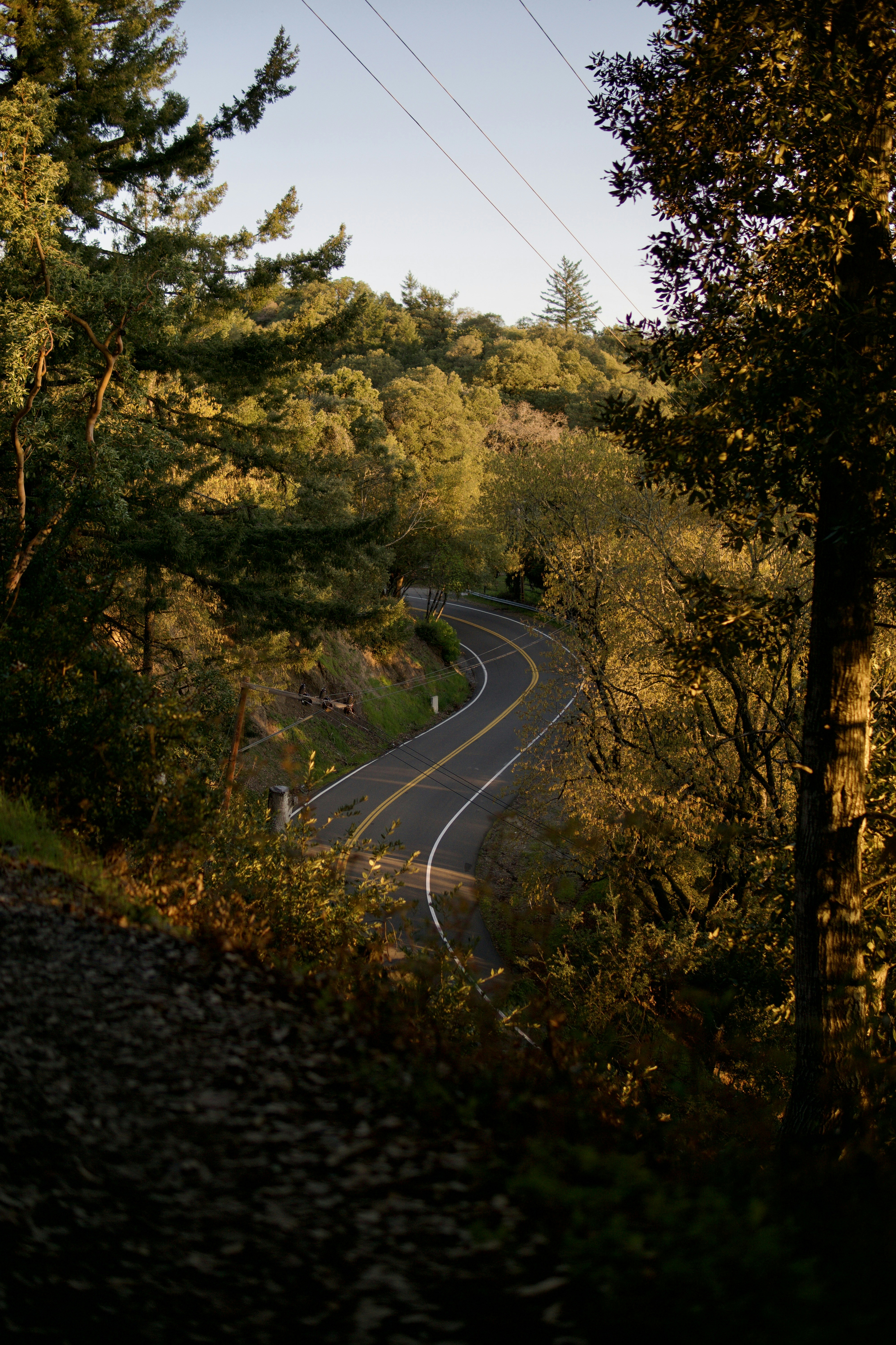 Photo by daniel_akserlod