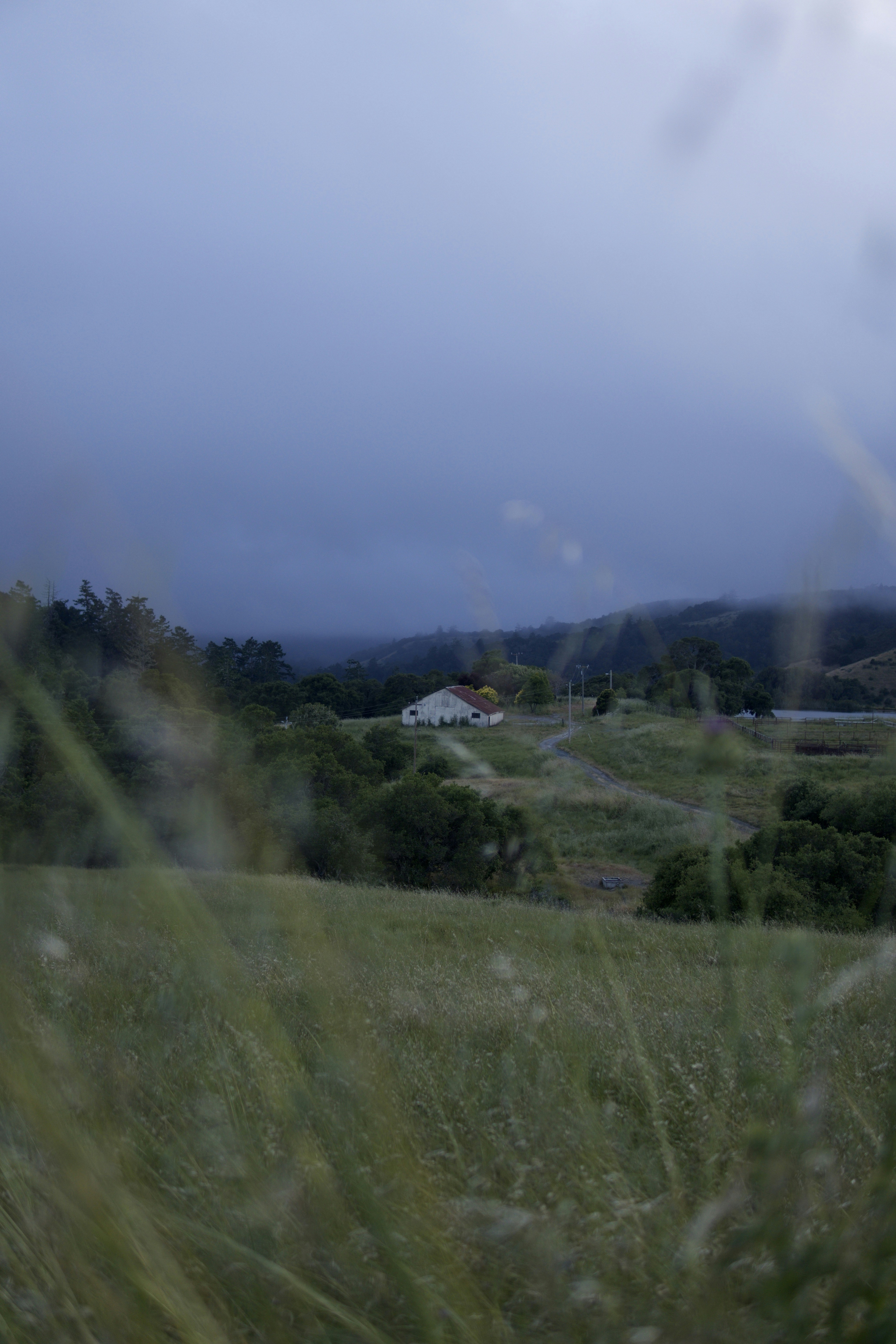 Photo by daniel_akserlod