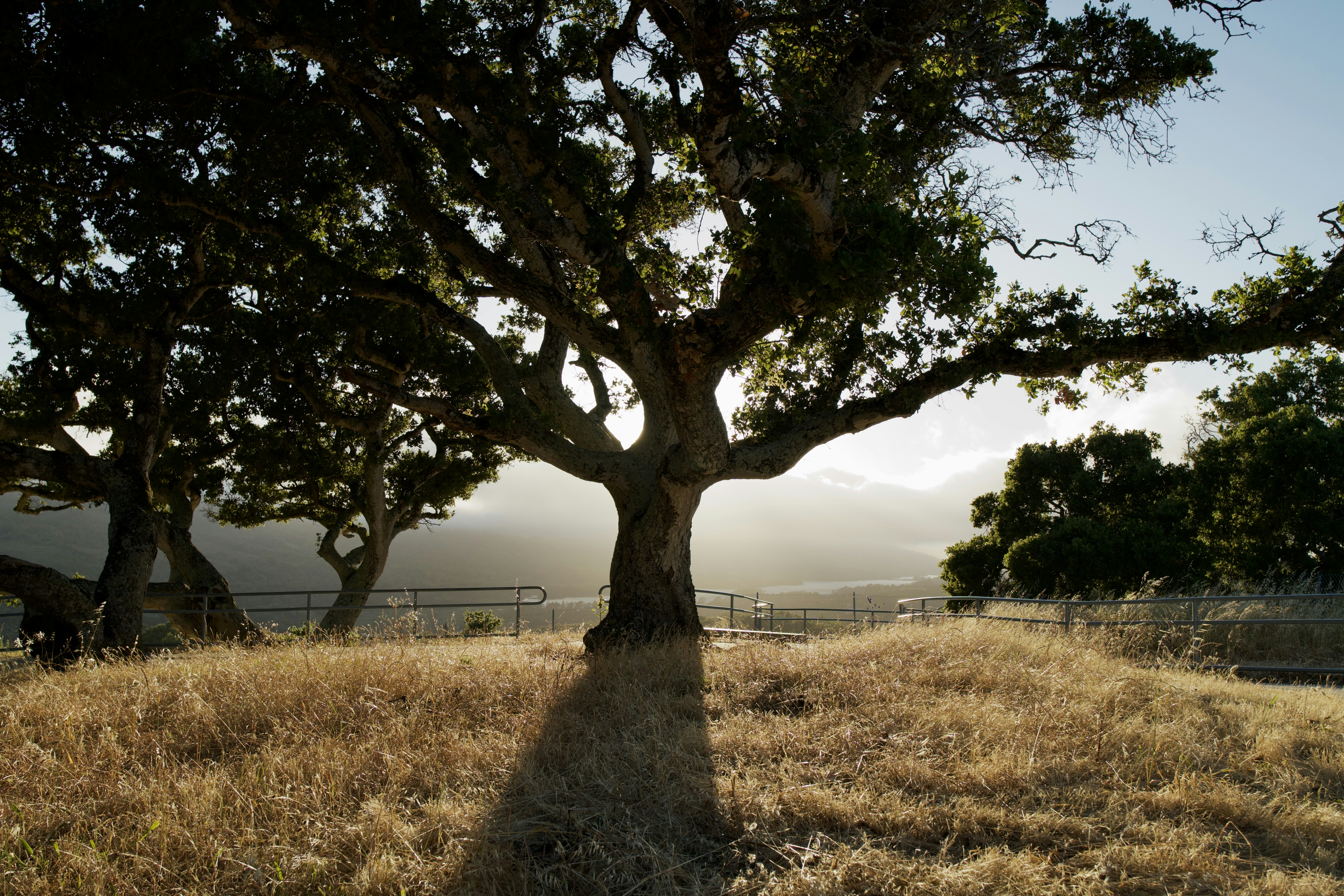 Photo by daniel_akserlod