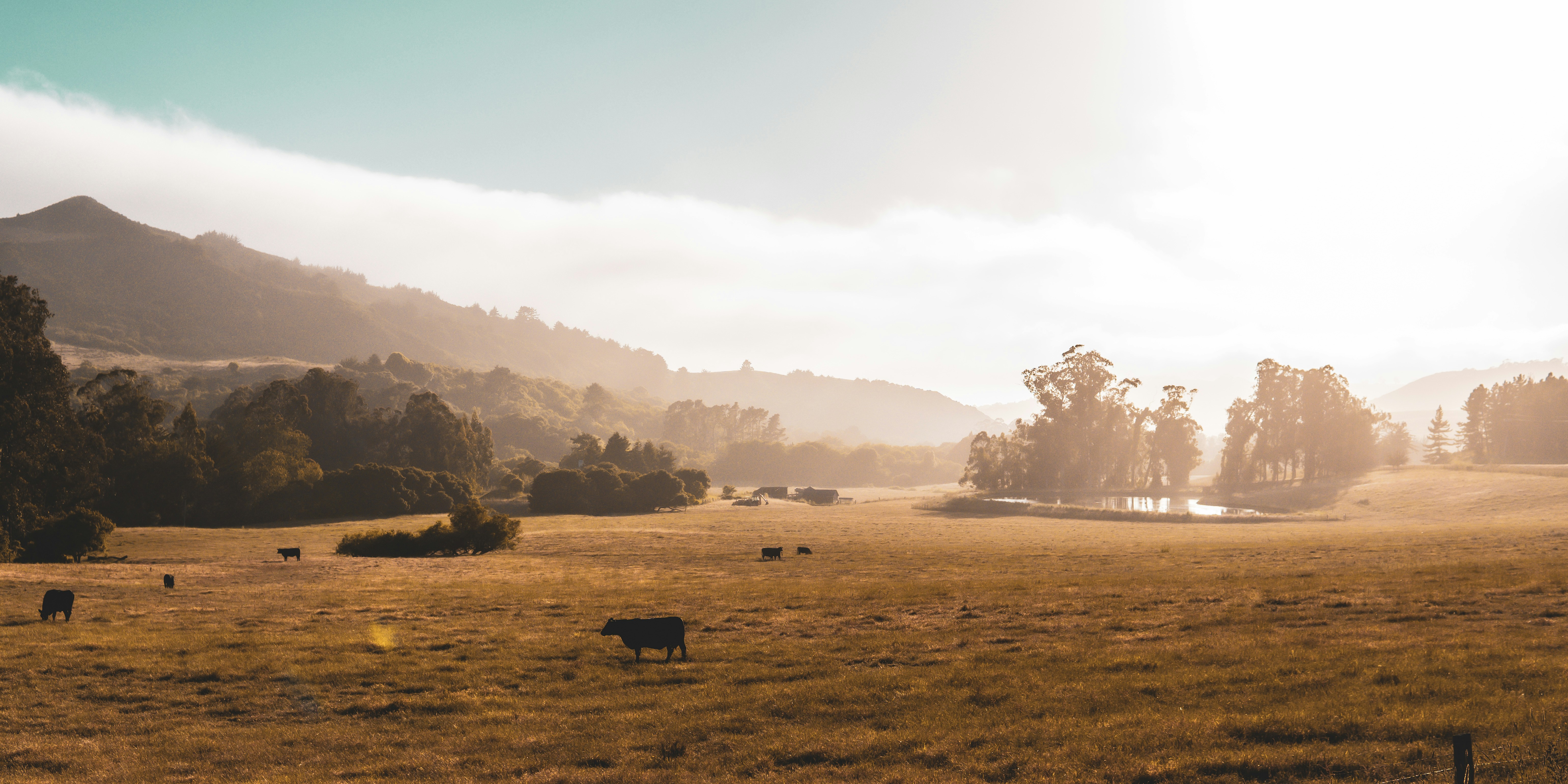 Photo by daniel_akserlod