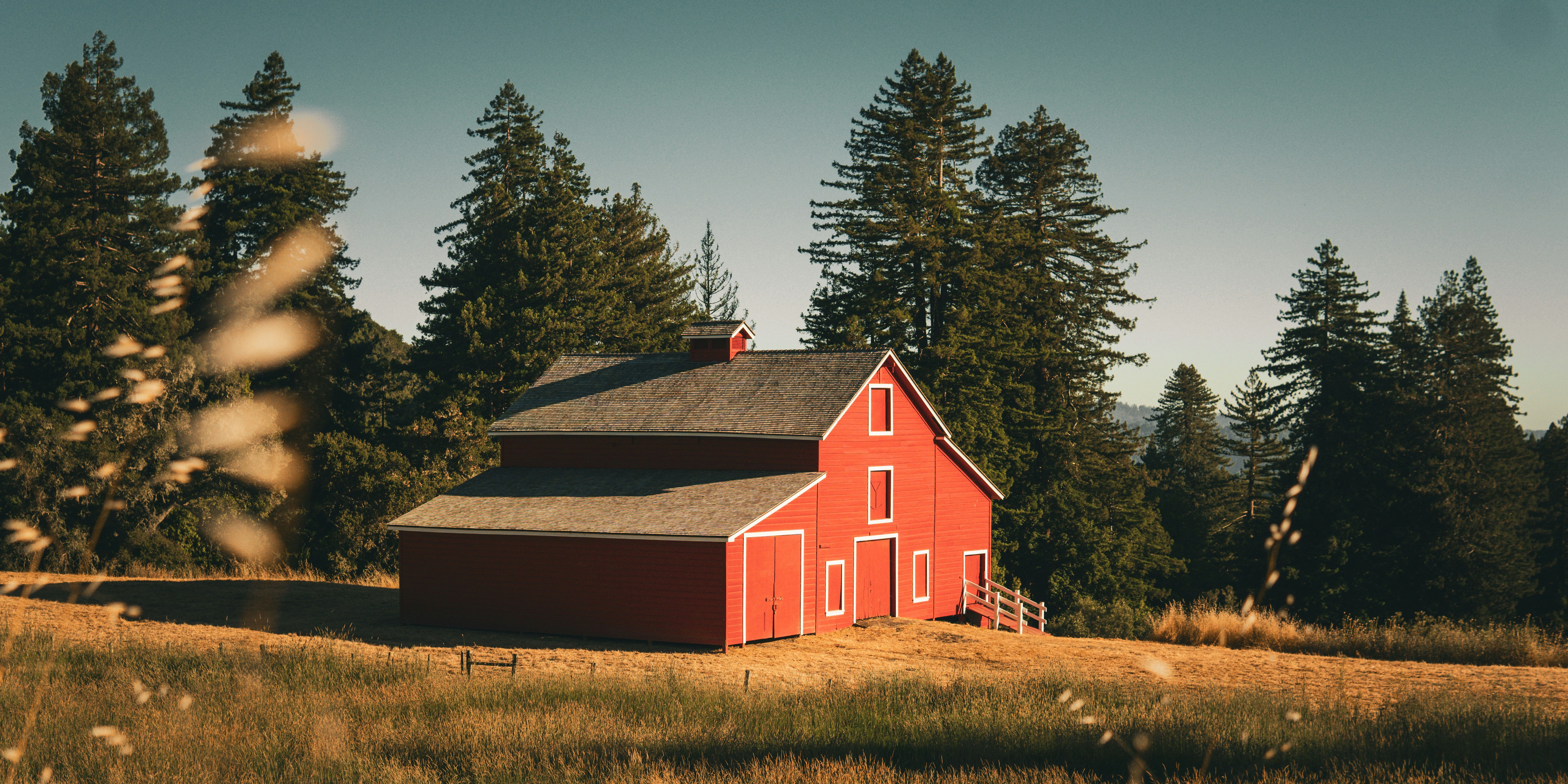 Photo by daniel_akserlod