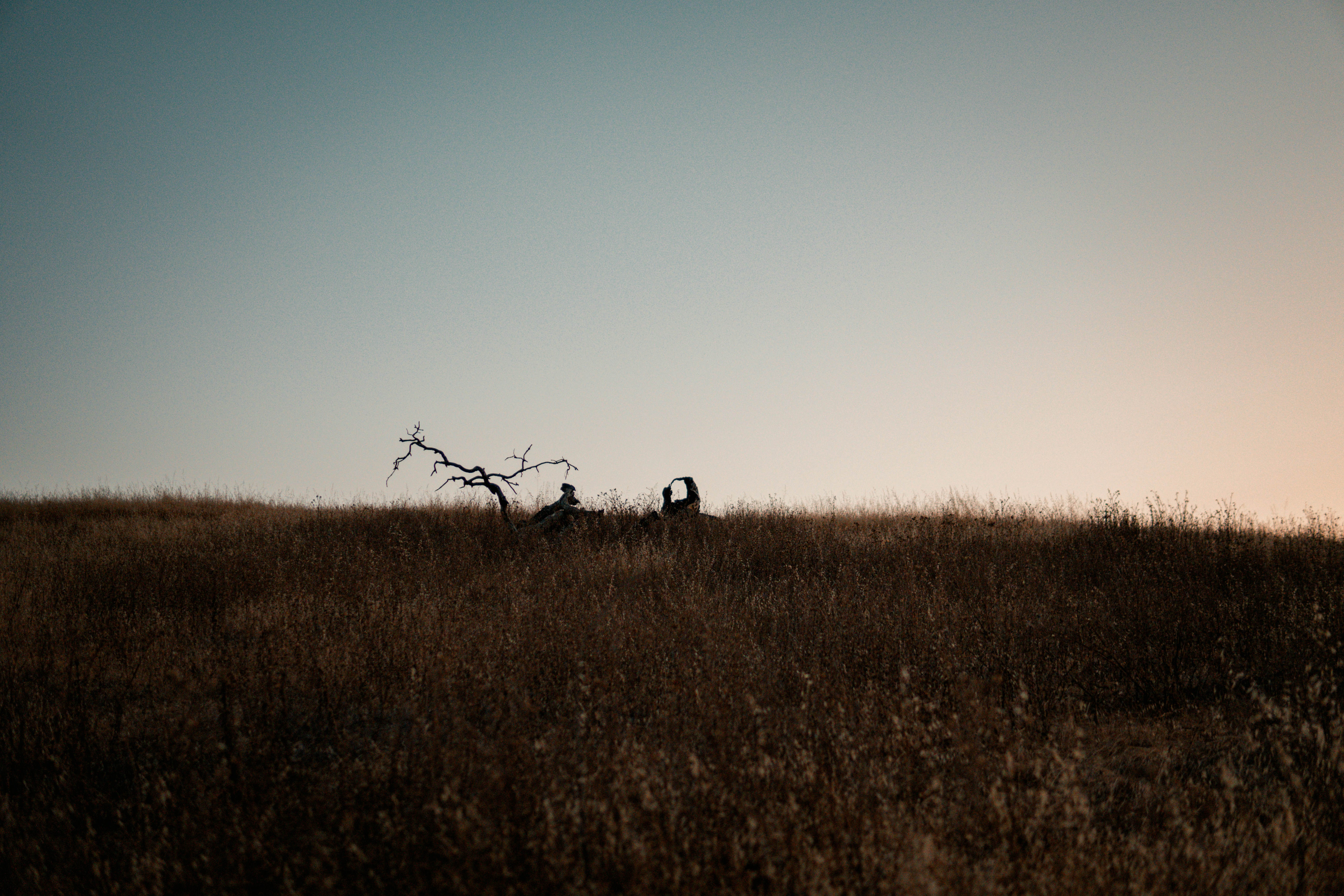 Photo by daniel_akserlod