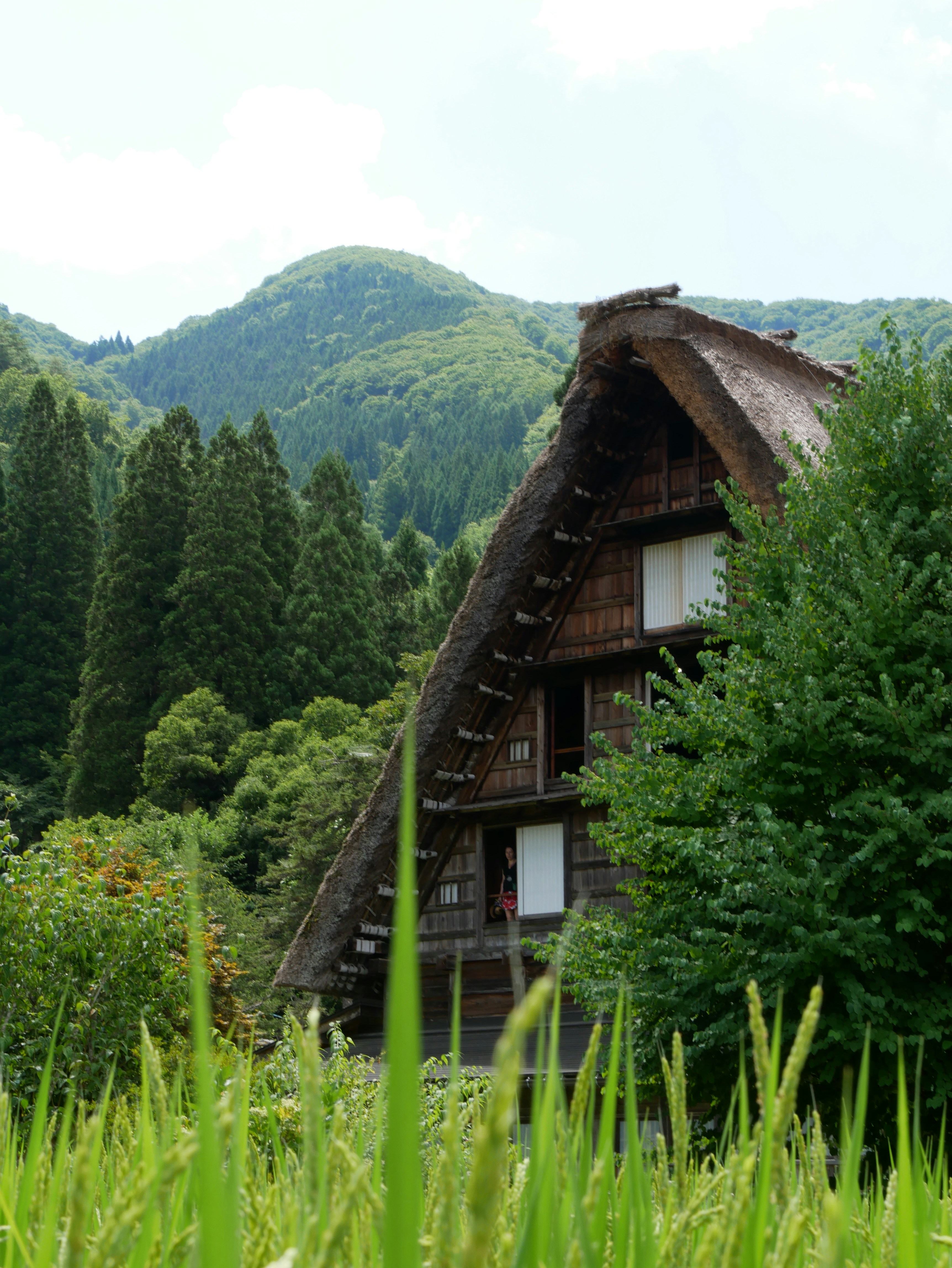 Photo by antonin_photo