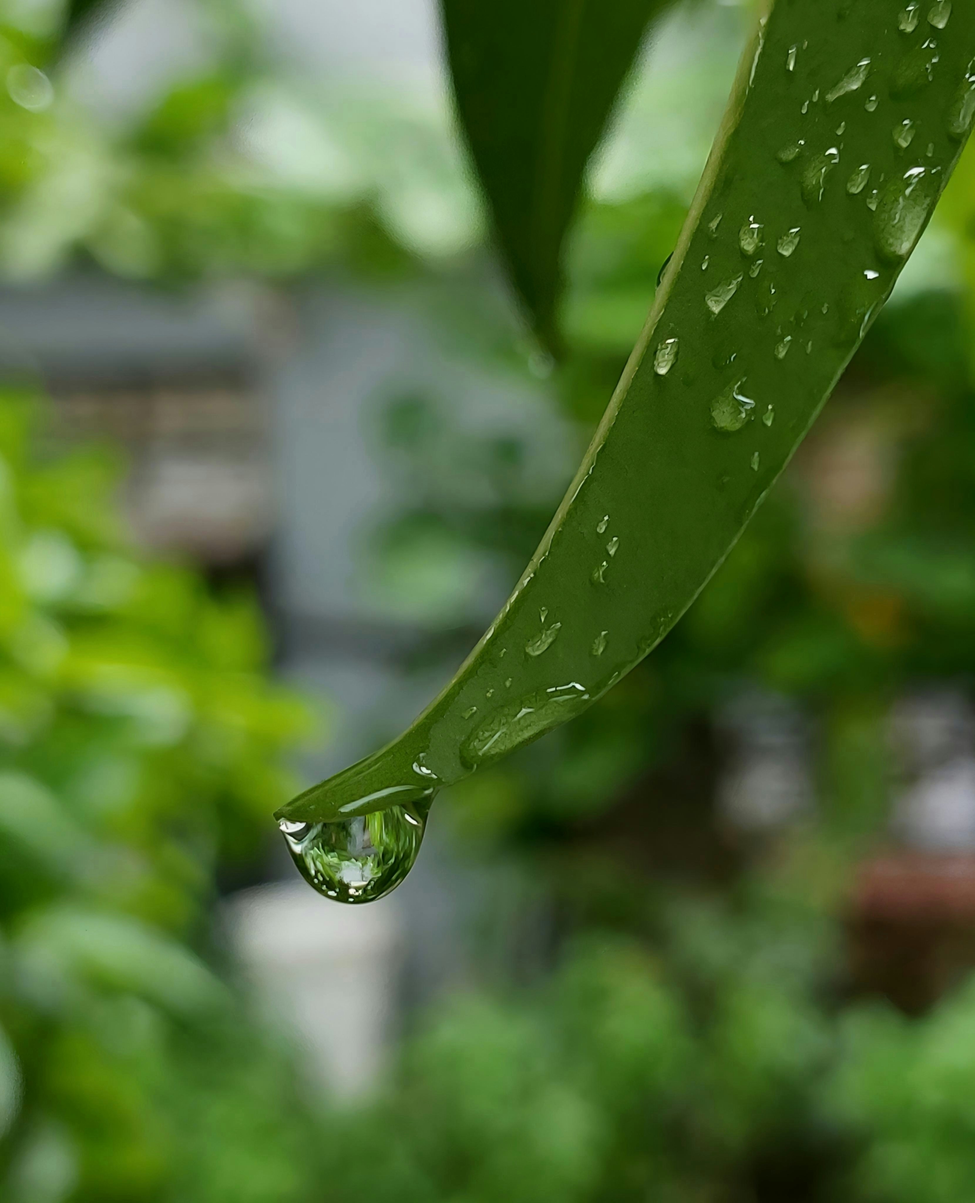 Photo by vibhor_jakhar