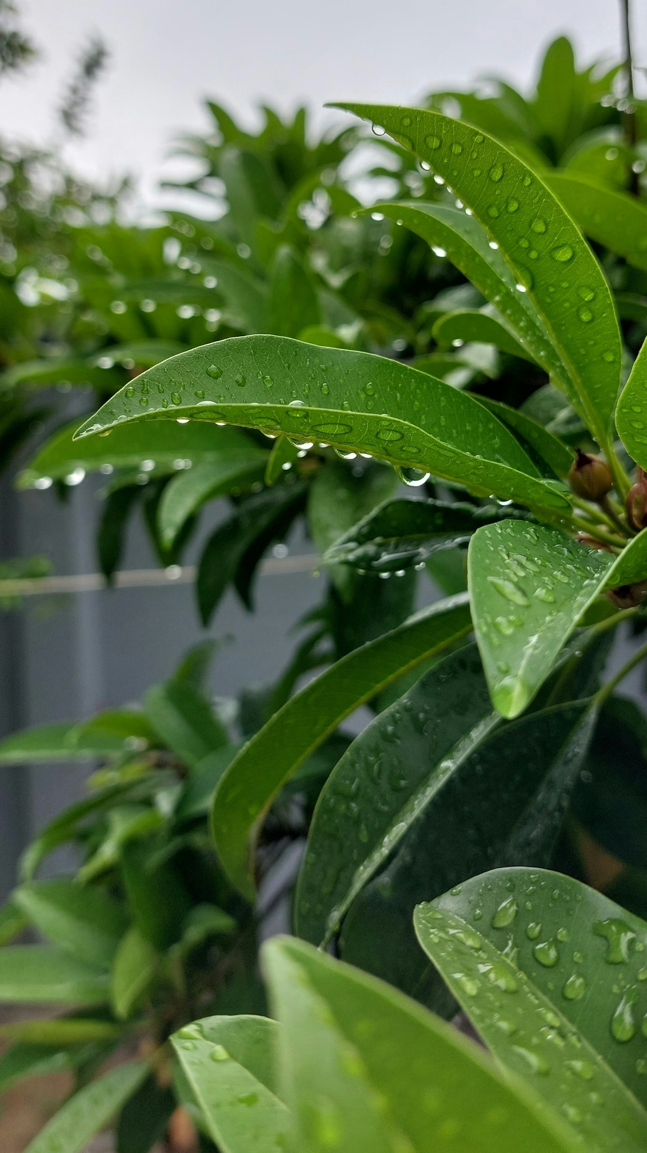 Photo by vibhor_jakhar